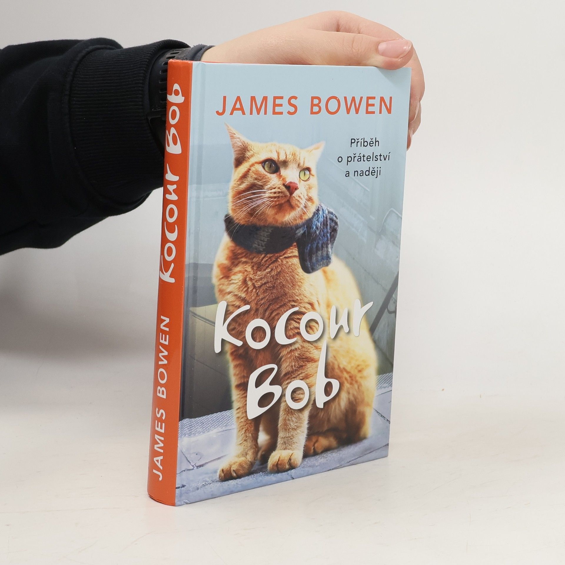 James Bowen Kocour Bob