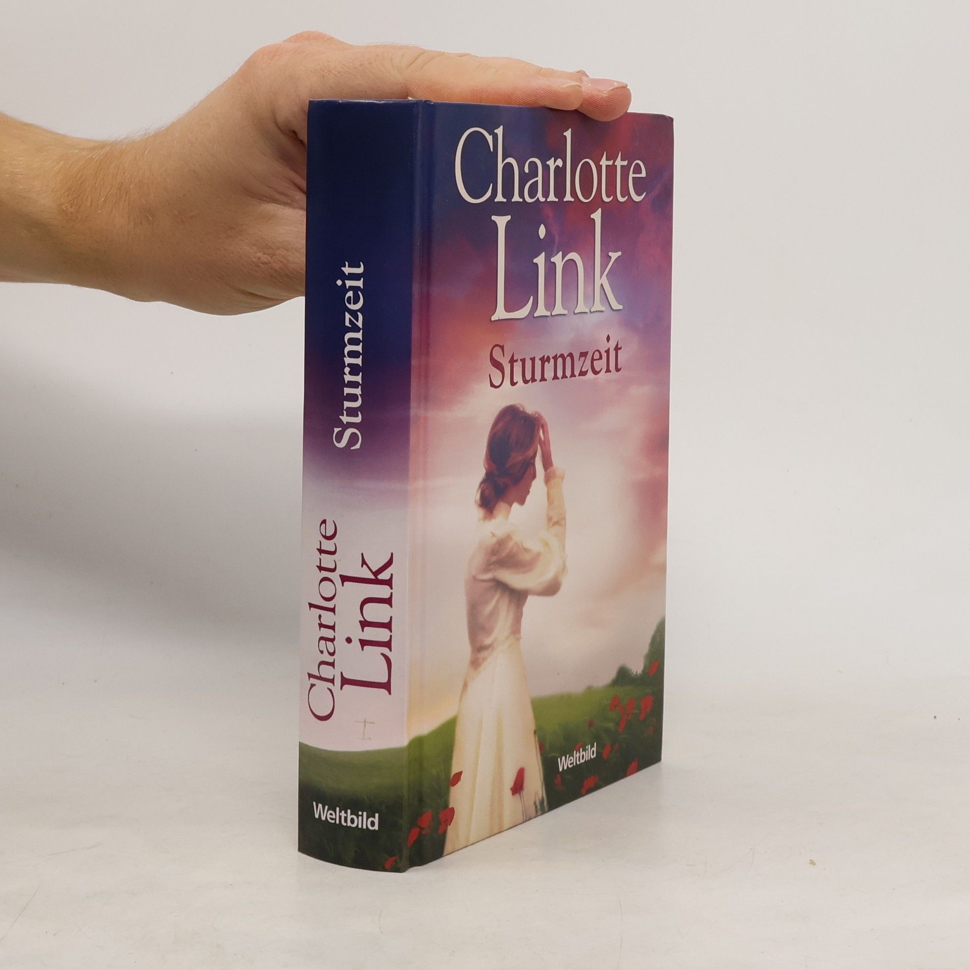 Charlotte Link Sturmzeit