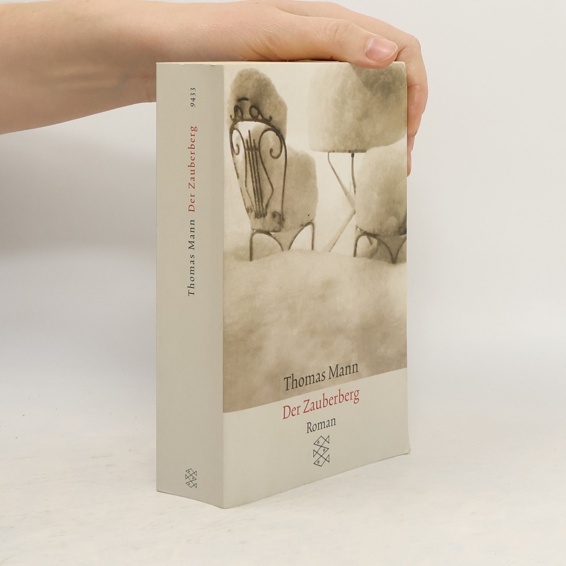 Thomas Mann Der Zauberberg