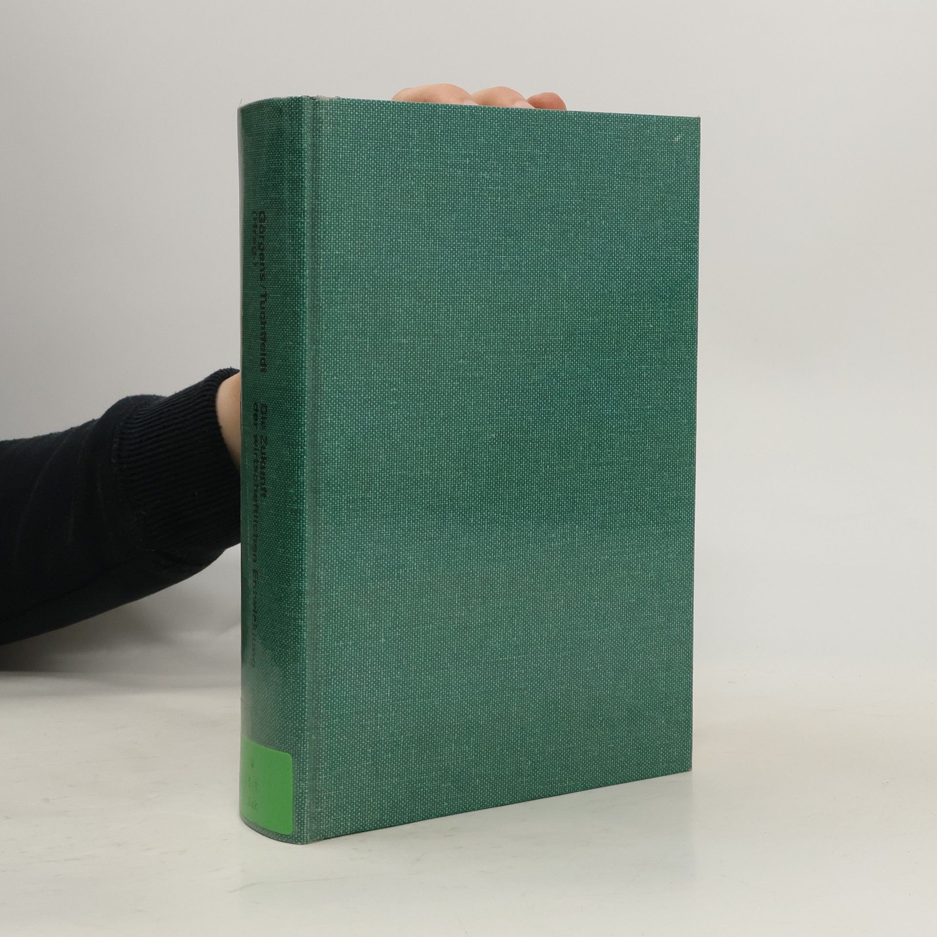 Egon Görgens Die Zukunft der wirtschaftlichen Entwicklung