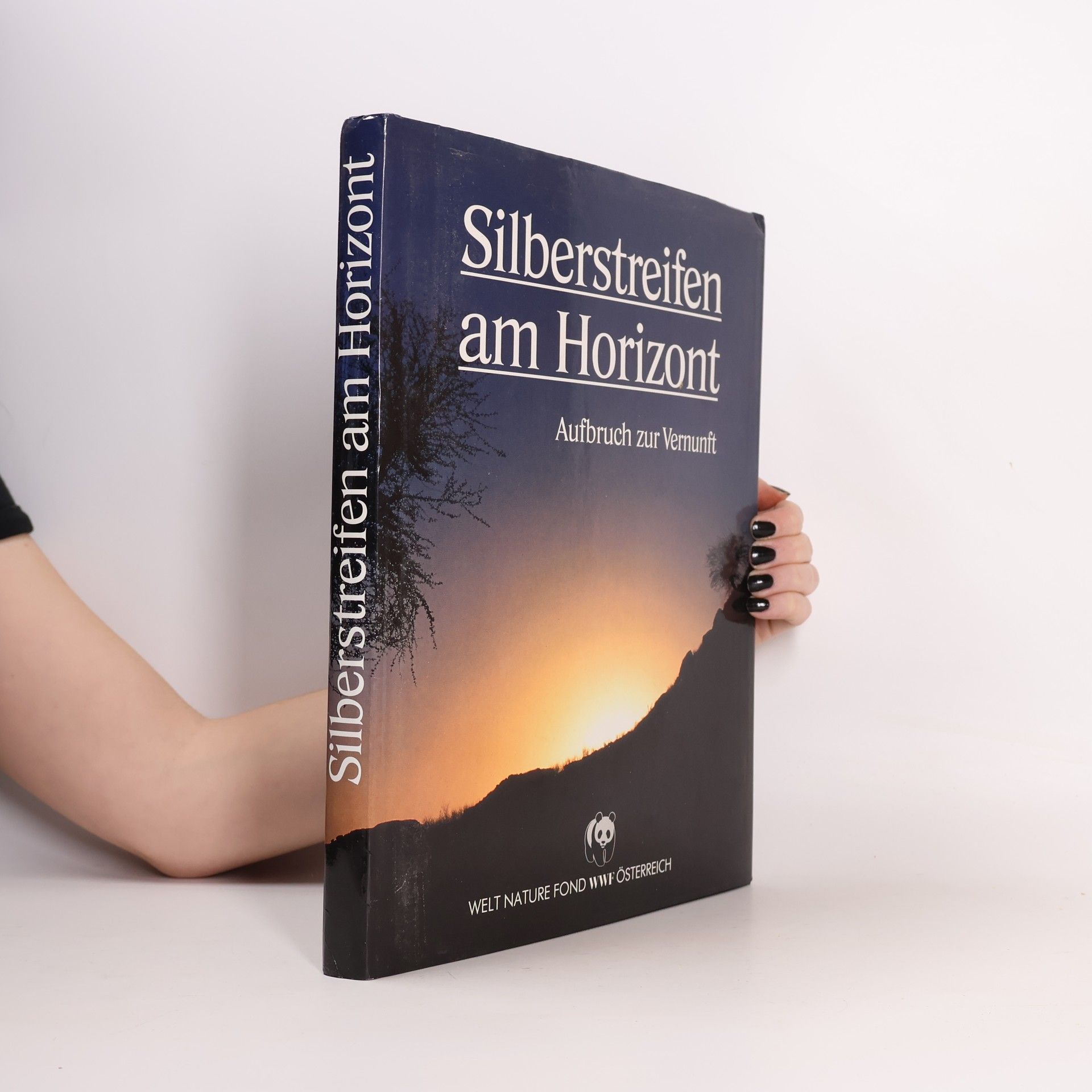 AA.VV. Silberstreifen am Horizont