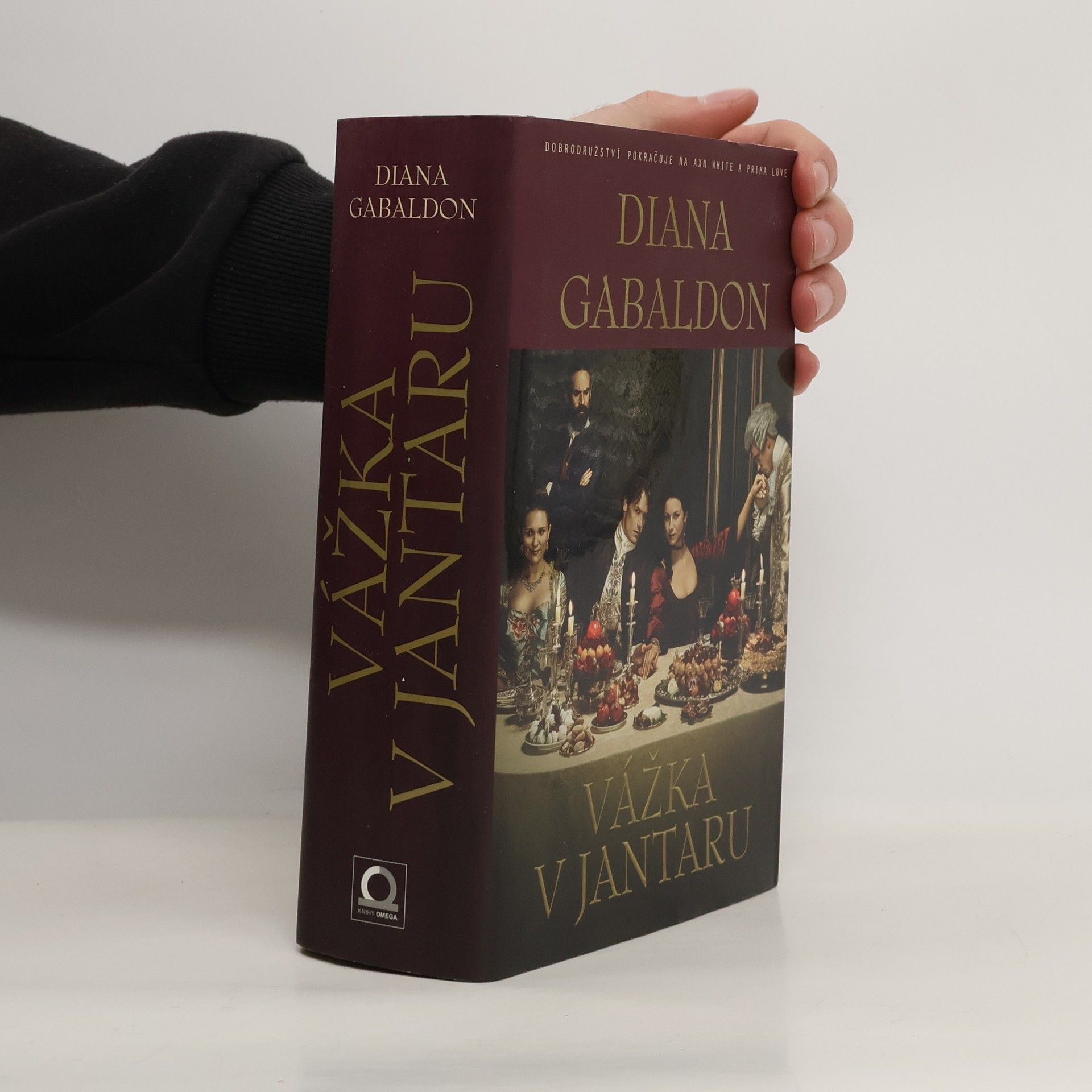 Diana Gabaldon Vážka v jantaru