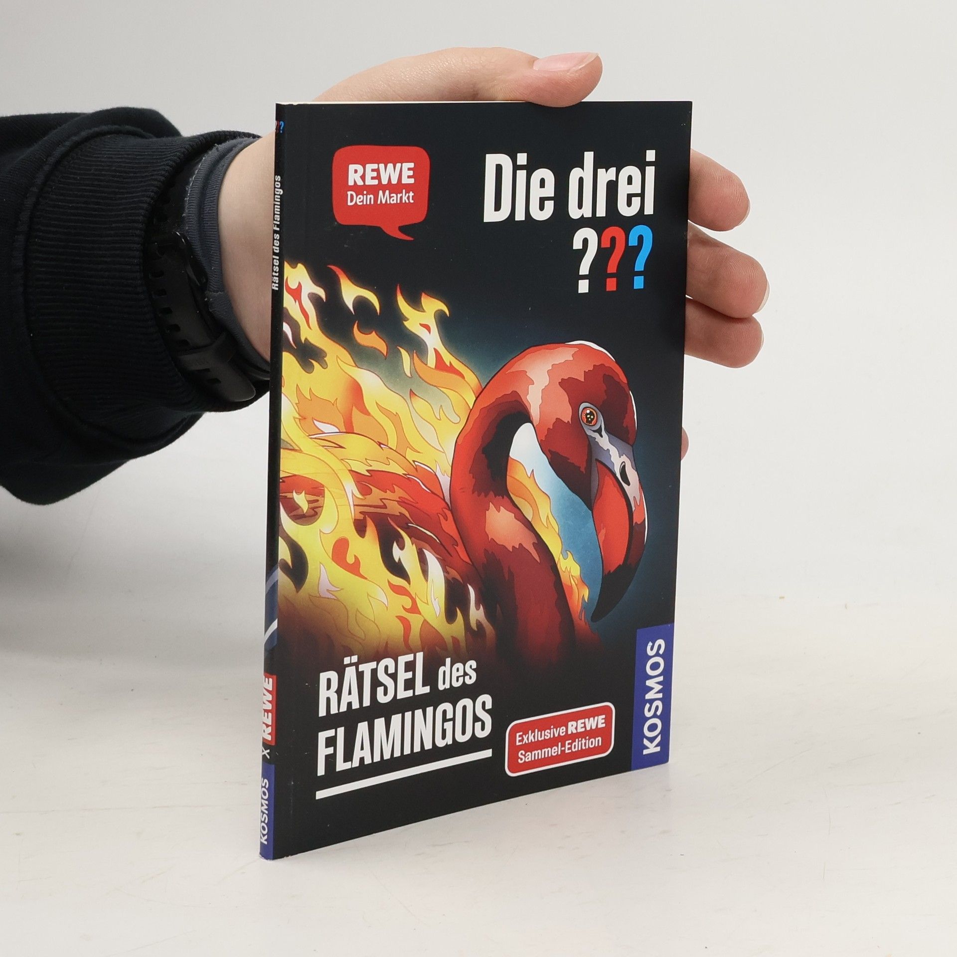 Andreas Ruch Die drei??? Rätsel des Flamingos