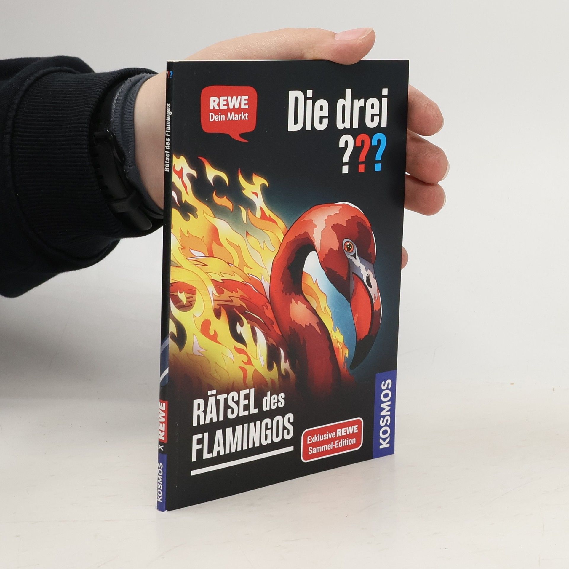 Andreas Ruch Die drei??? Rätsel des Flamingos