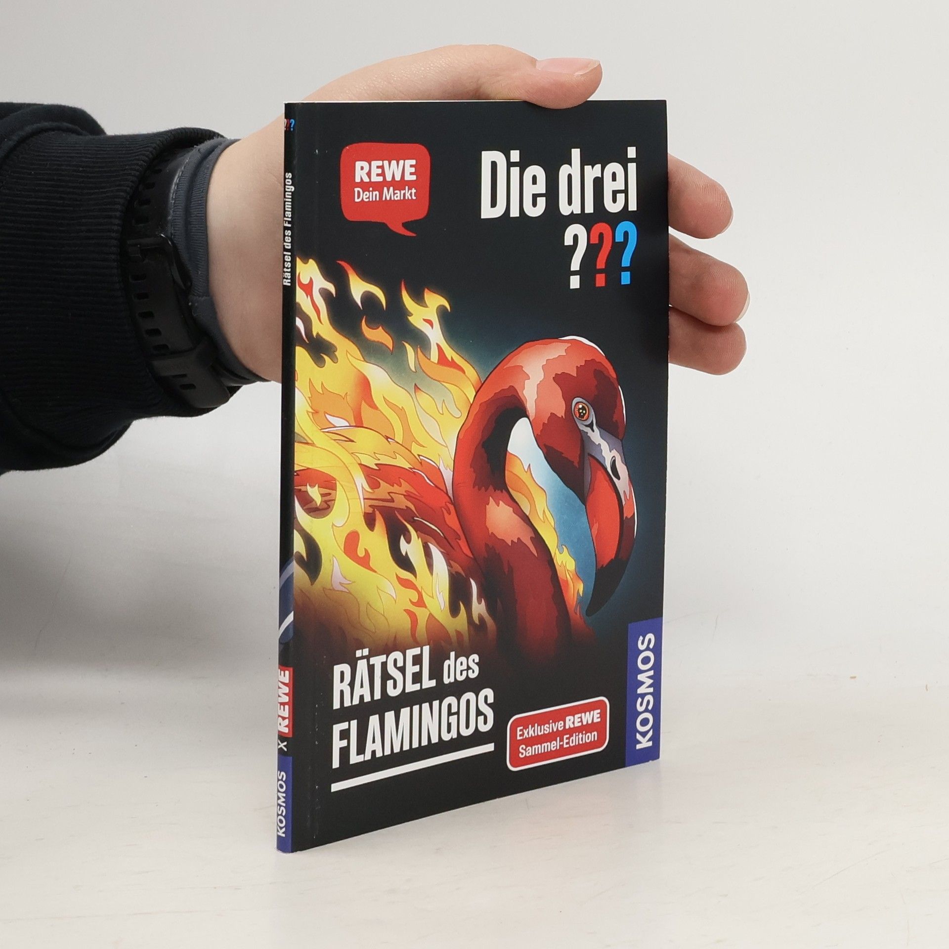 Andreas Ruch Die drei??? Rätsel des Flamingos