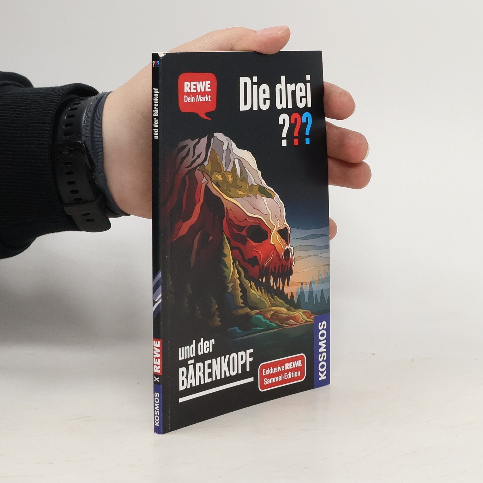 Andreas Ruch Die drei ??? und der Bärenkopf