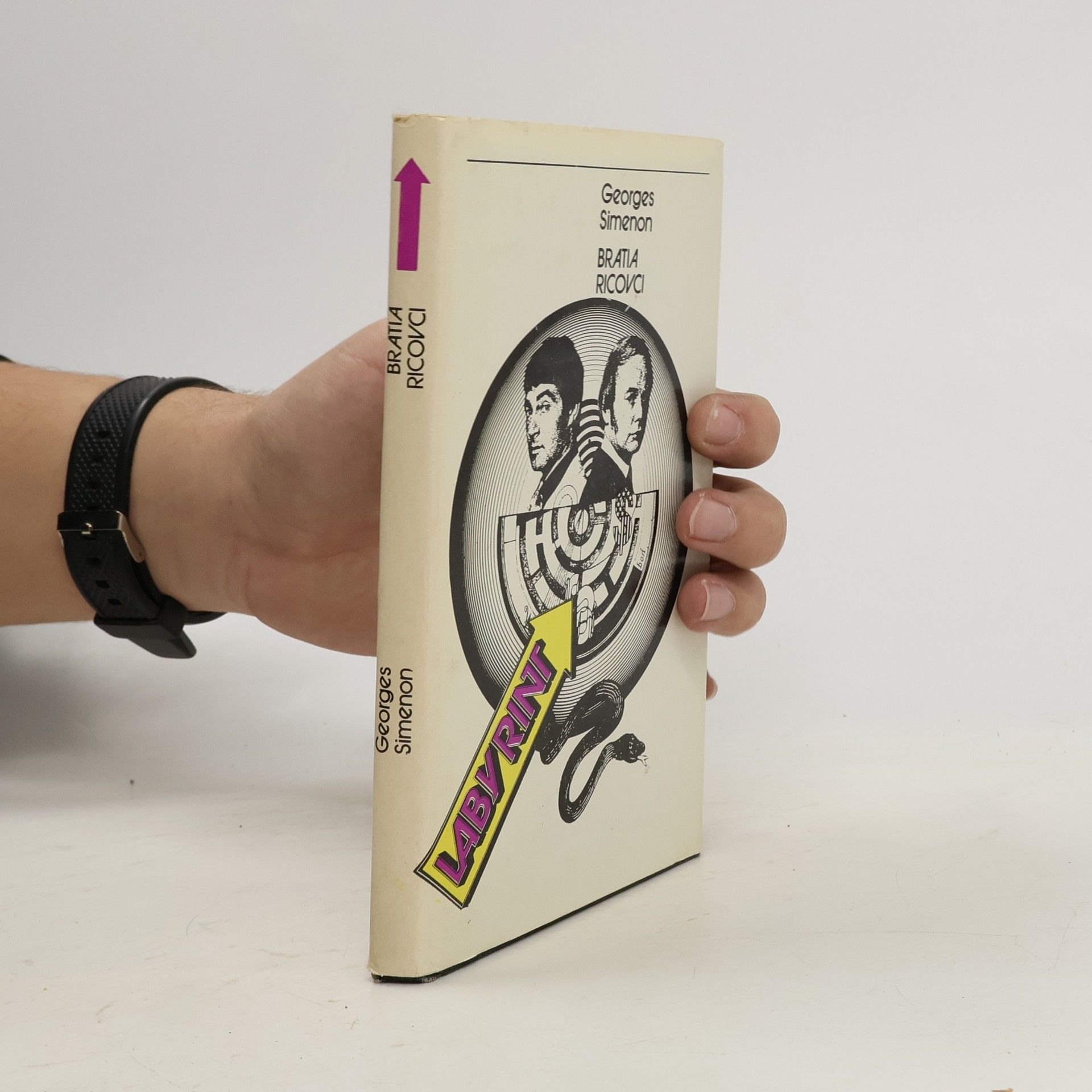 Georges Simenon Bratia Ricovci