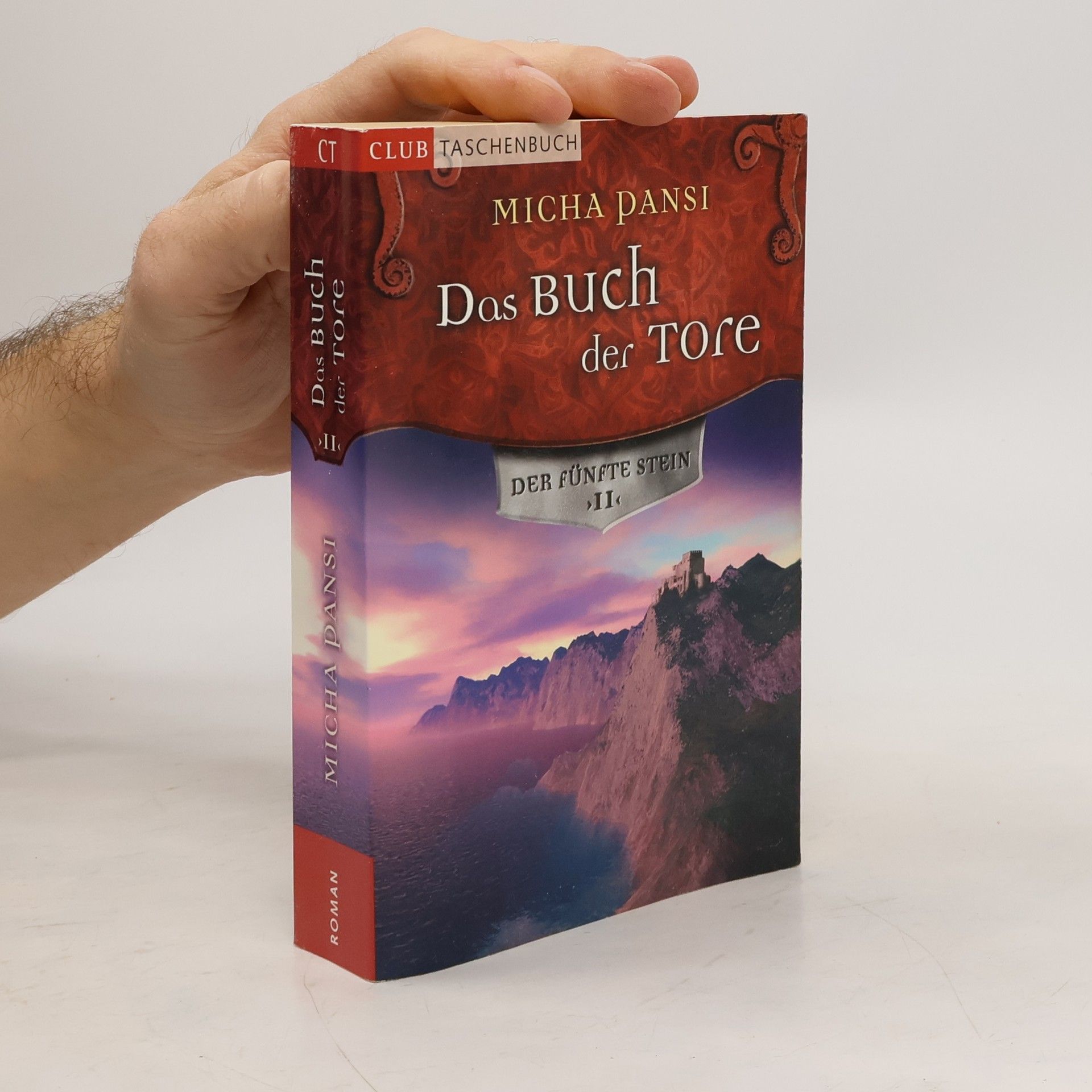 Micha Pansi Das Buch der Tore II