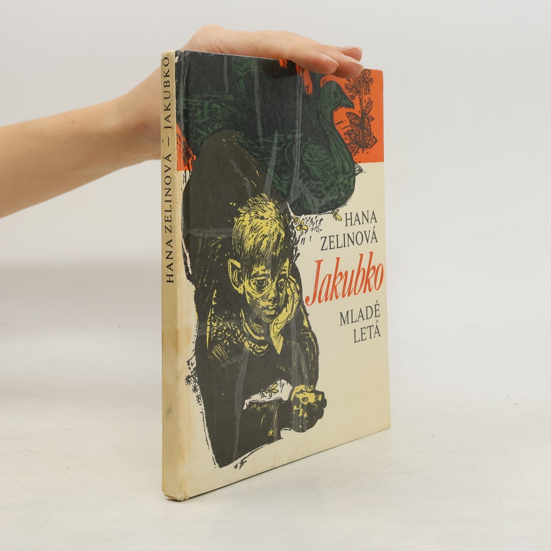 Vladimír Machaj Jakubko