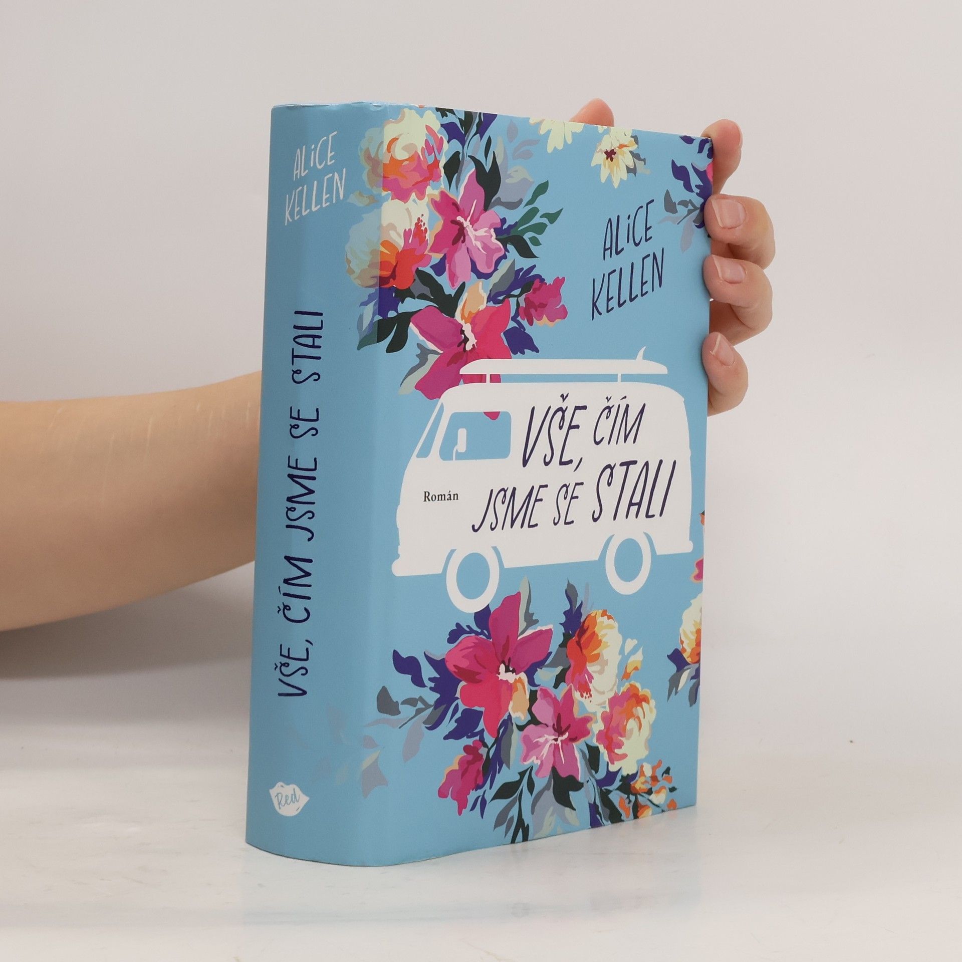 Alice Kellen Vše, čím jsme se stali