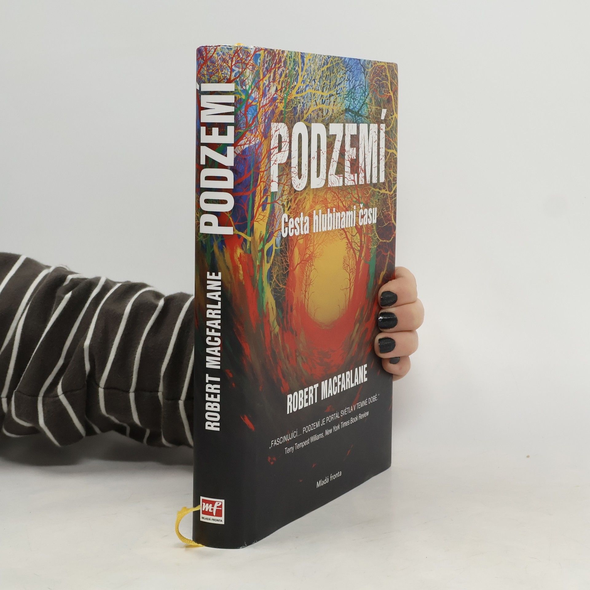 Robert McFarlane Podzemí : cesta hlubinami času