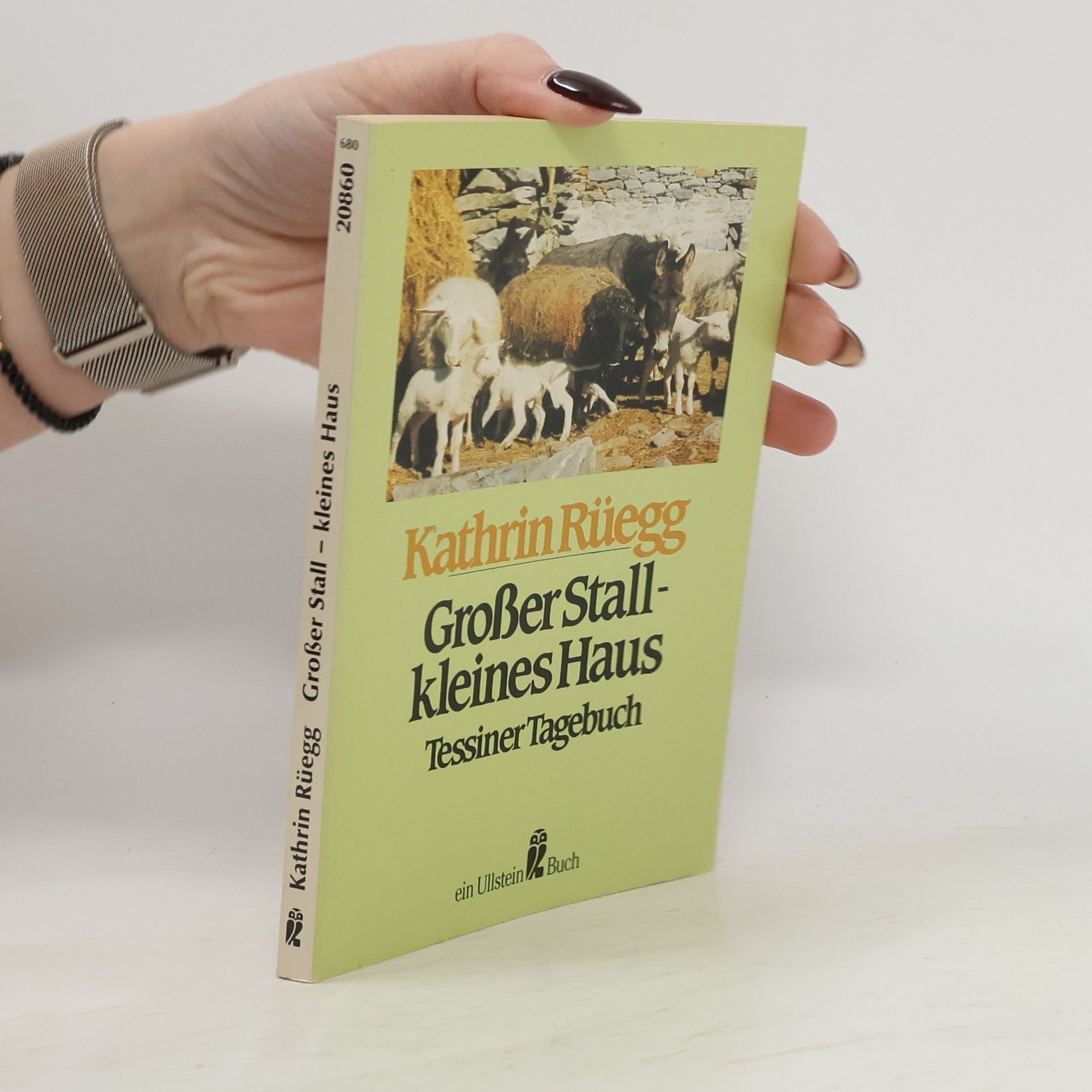 Kathrin Rüegg Grosser Stall - kleines Haus