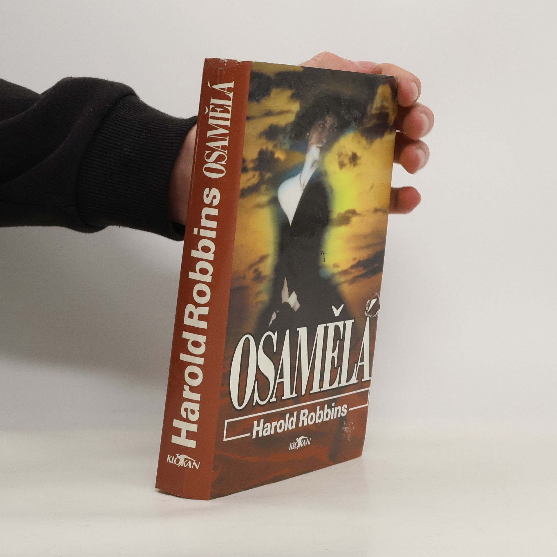 Harold Robbins Osamělá