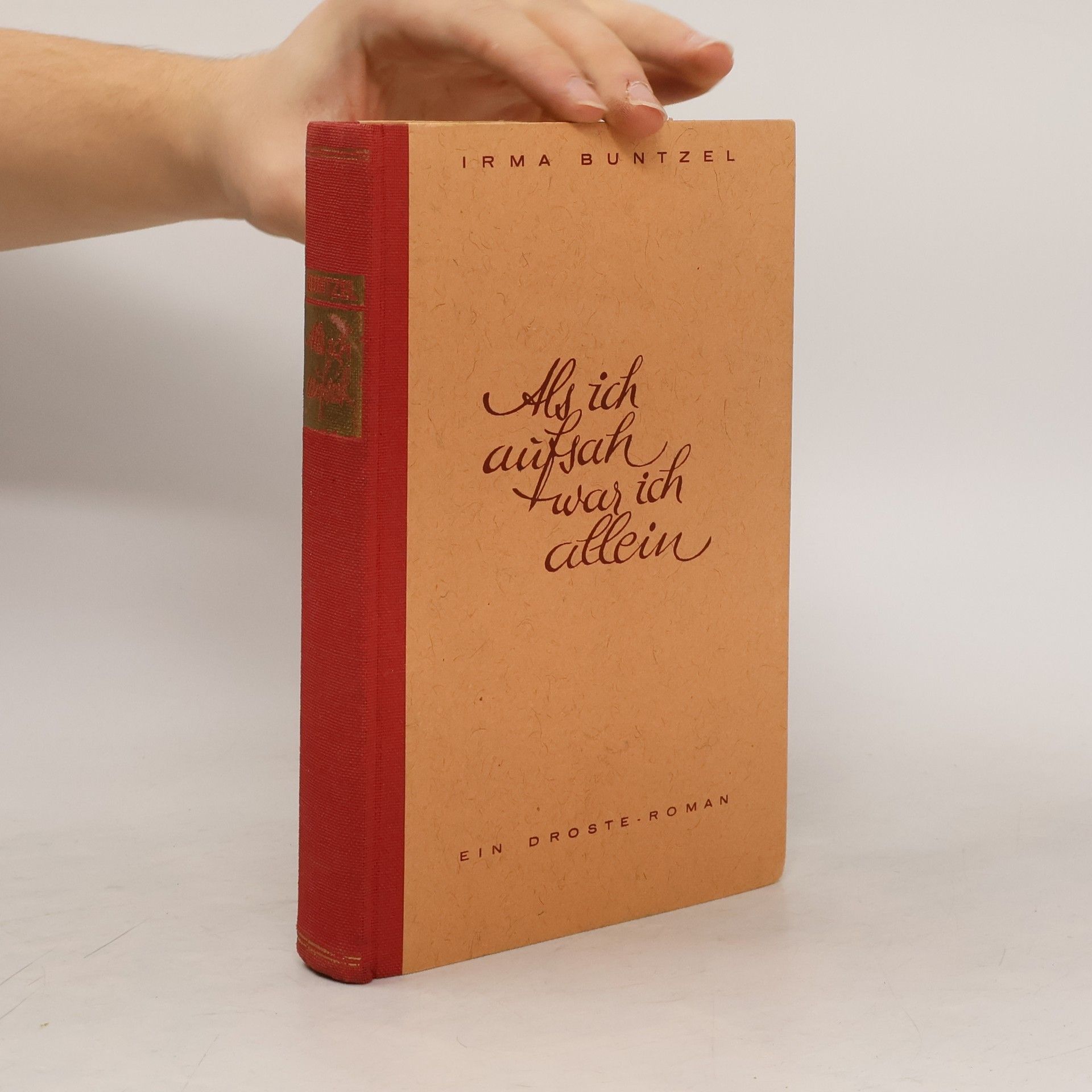 Irma Buntzel Als ich aufsah war ich allein