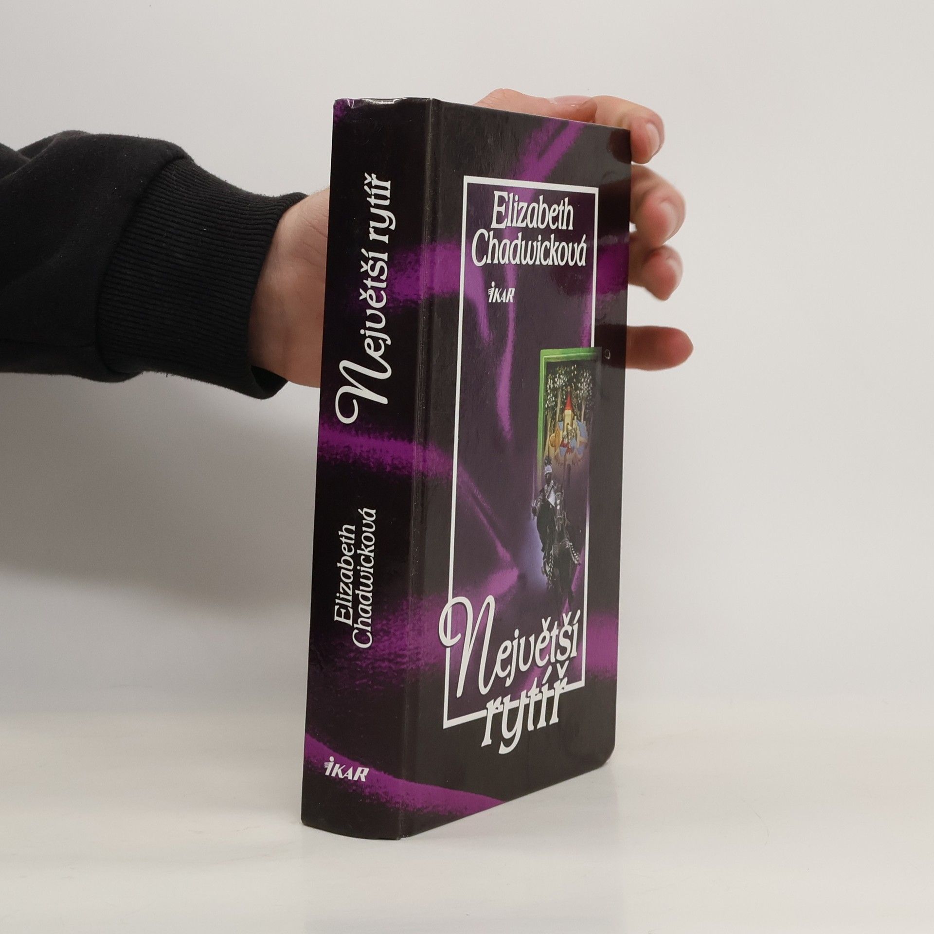 Elizabeth Chadwick Největší rytíř