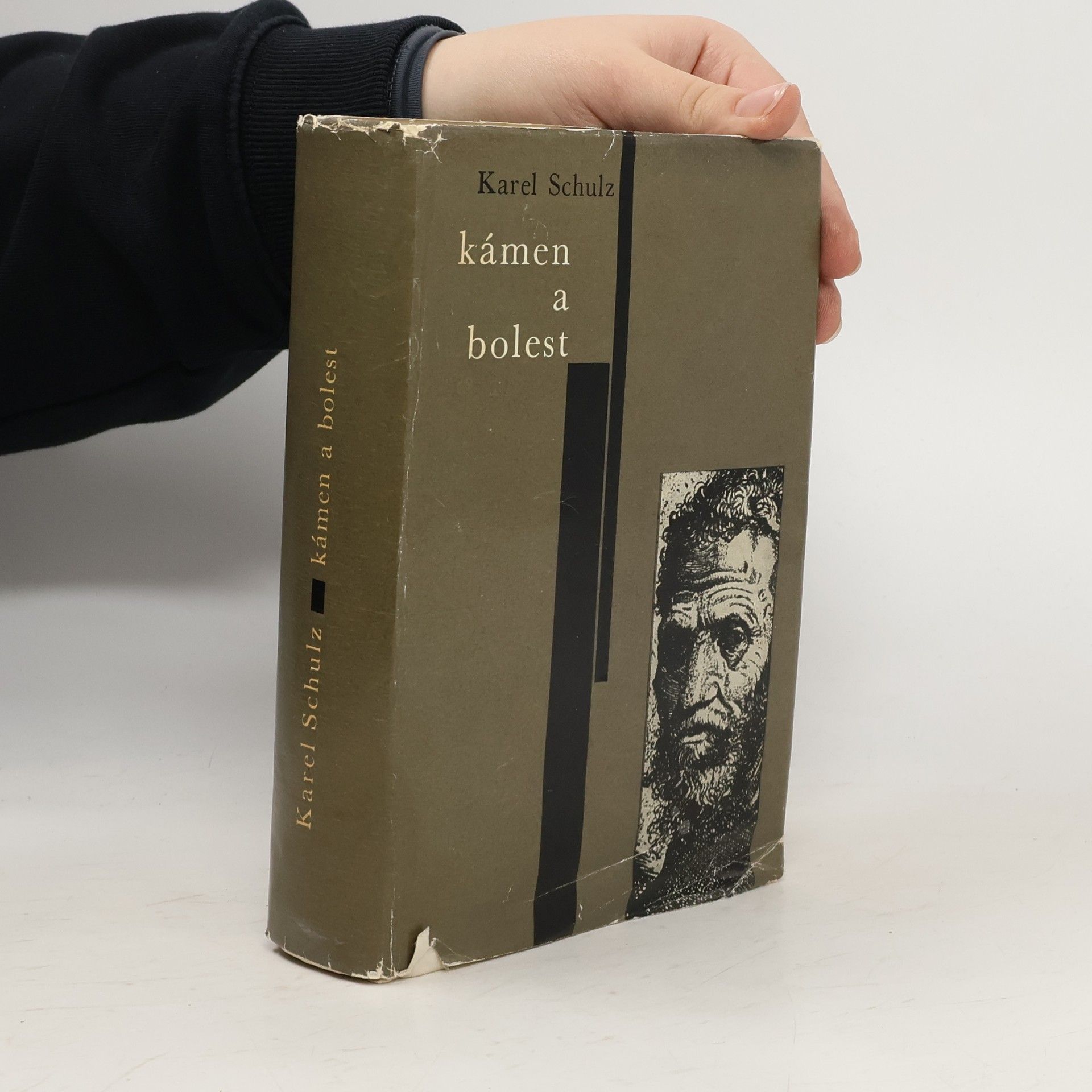 Karel Schulz Kámen a bolest