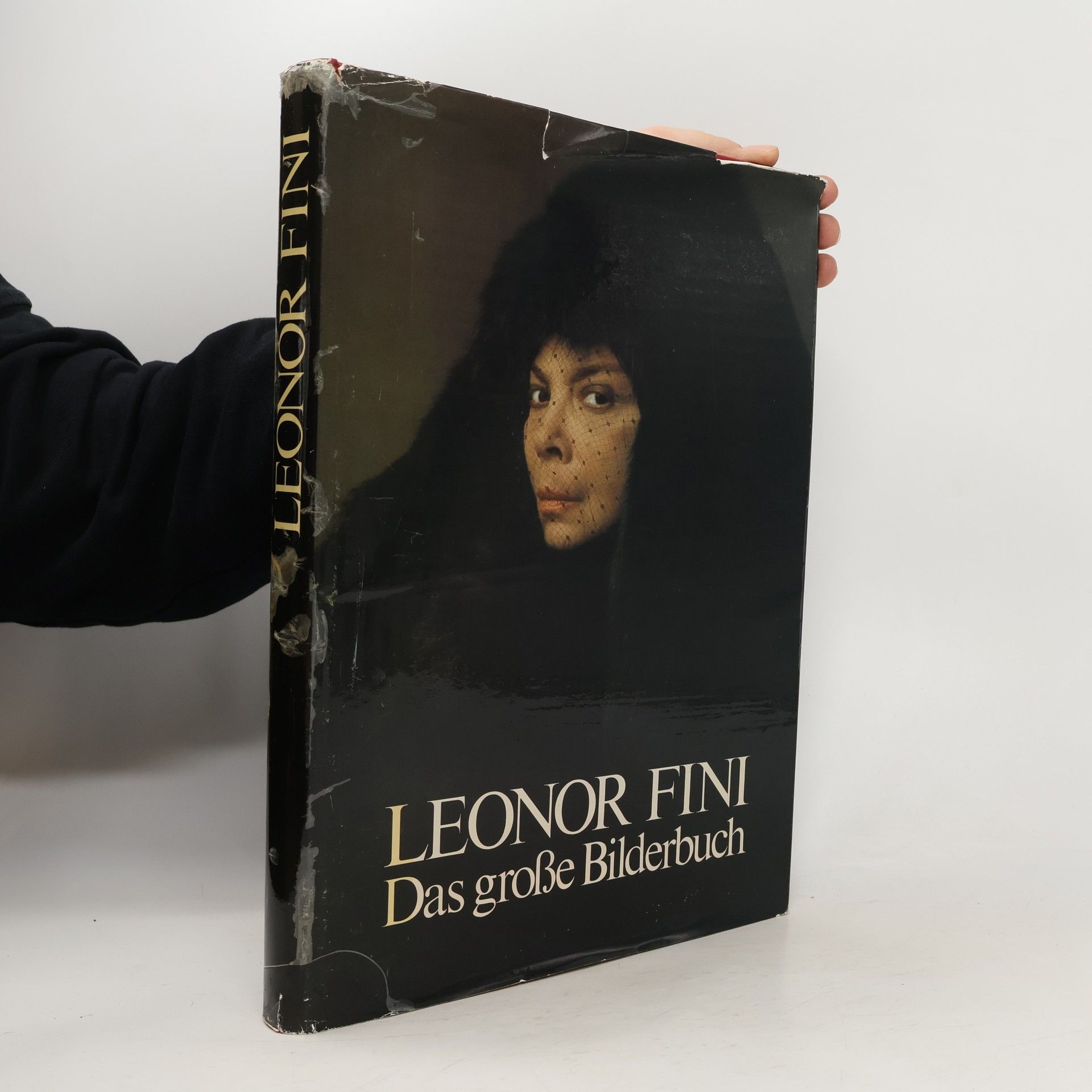 Leonor Fini. Das grosse Bilderbuch