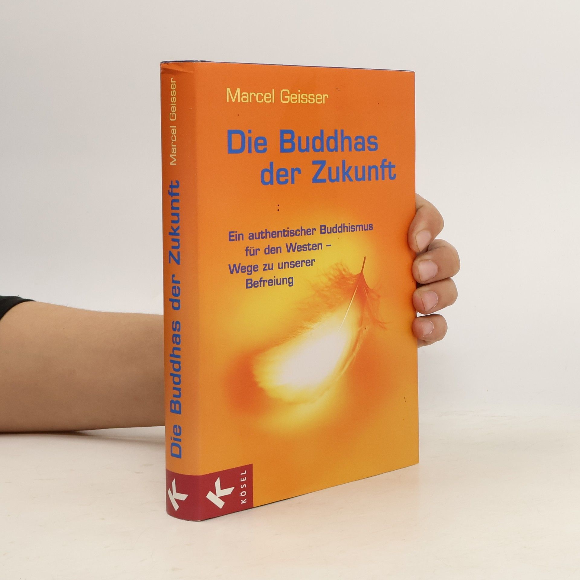 Marcel Geisser Die Buddhas der Zukunft