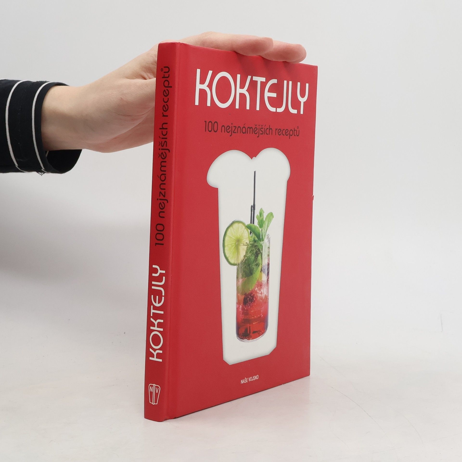 Gianfranco Di Niso Koktejly : 100 nejznámějších receptů