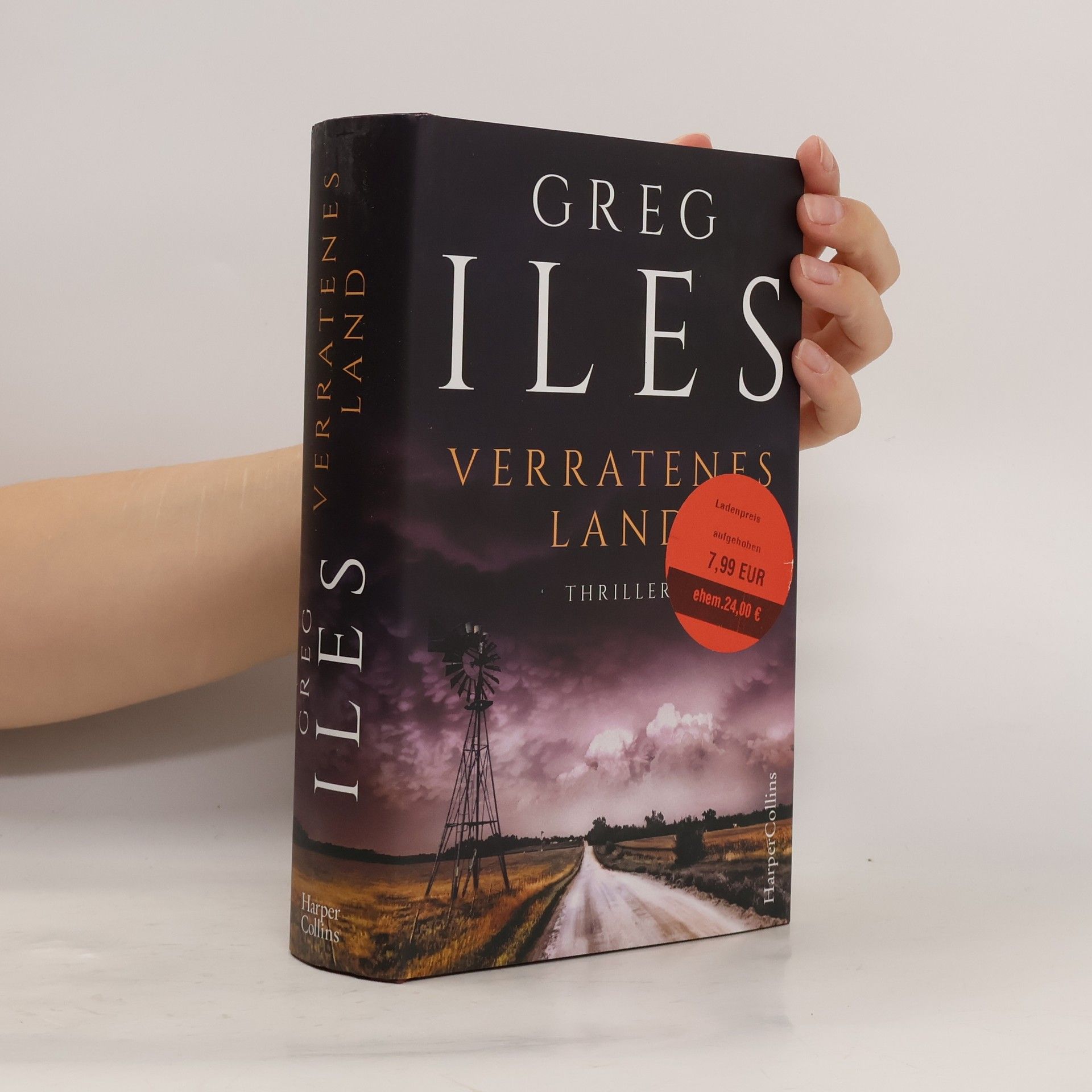 Greg Iles Verratenes Land