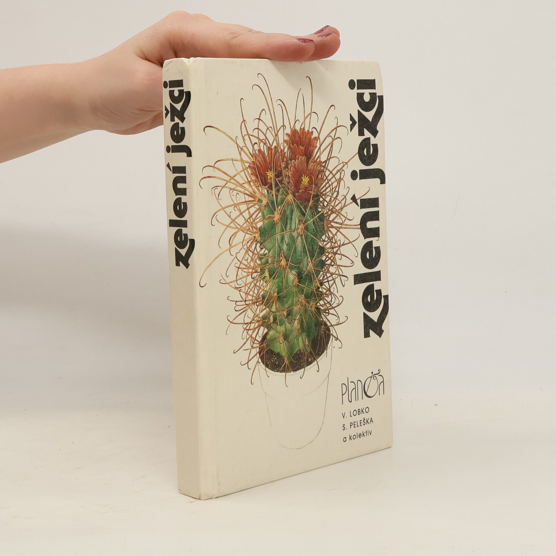 Valerij Dmitrijevič Lobko Zelení ježci