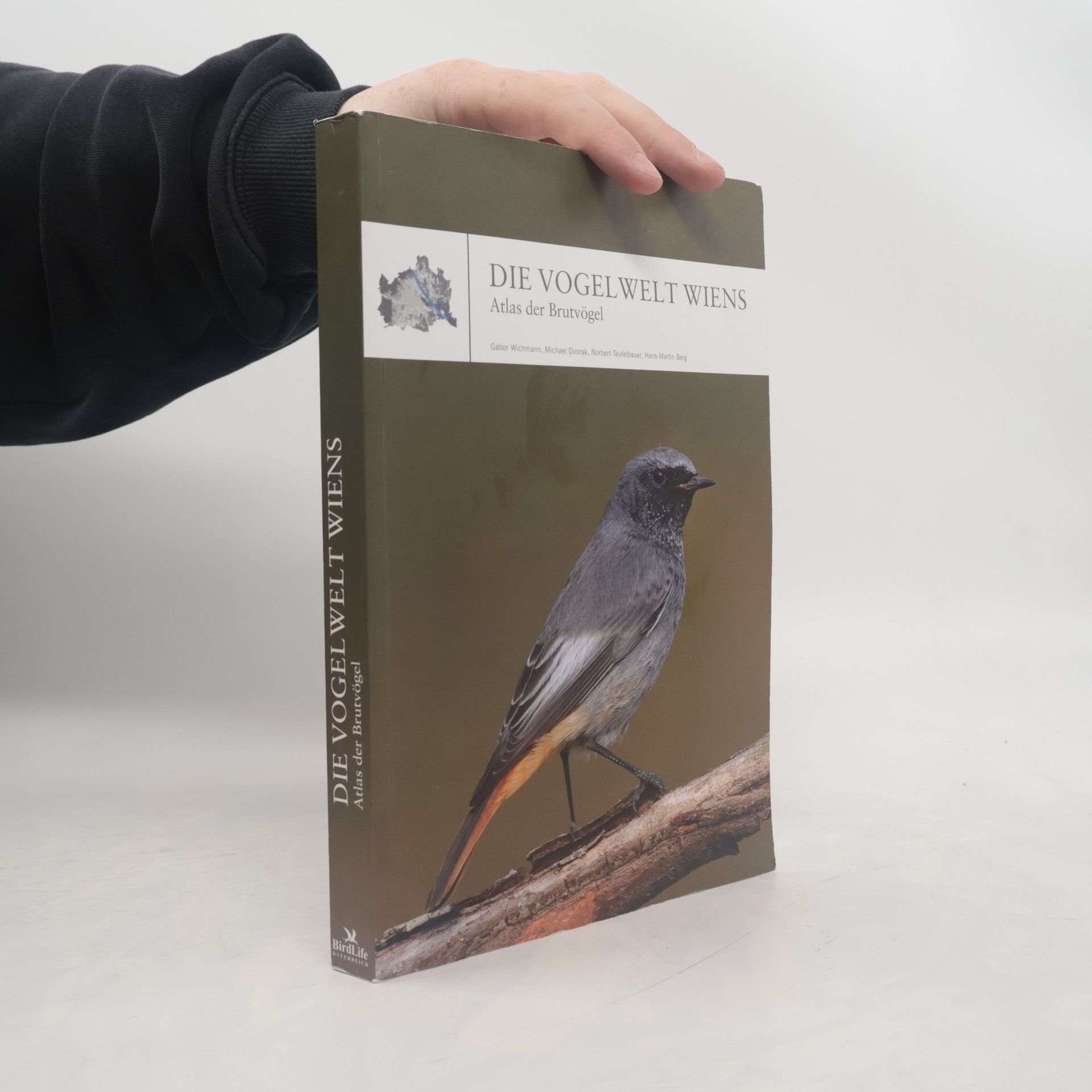 Gábor Wichmann Die Vogelwelt Wiens