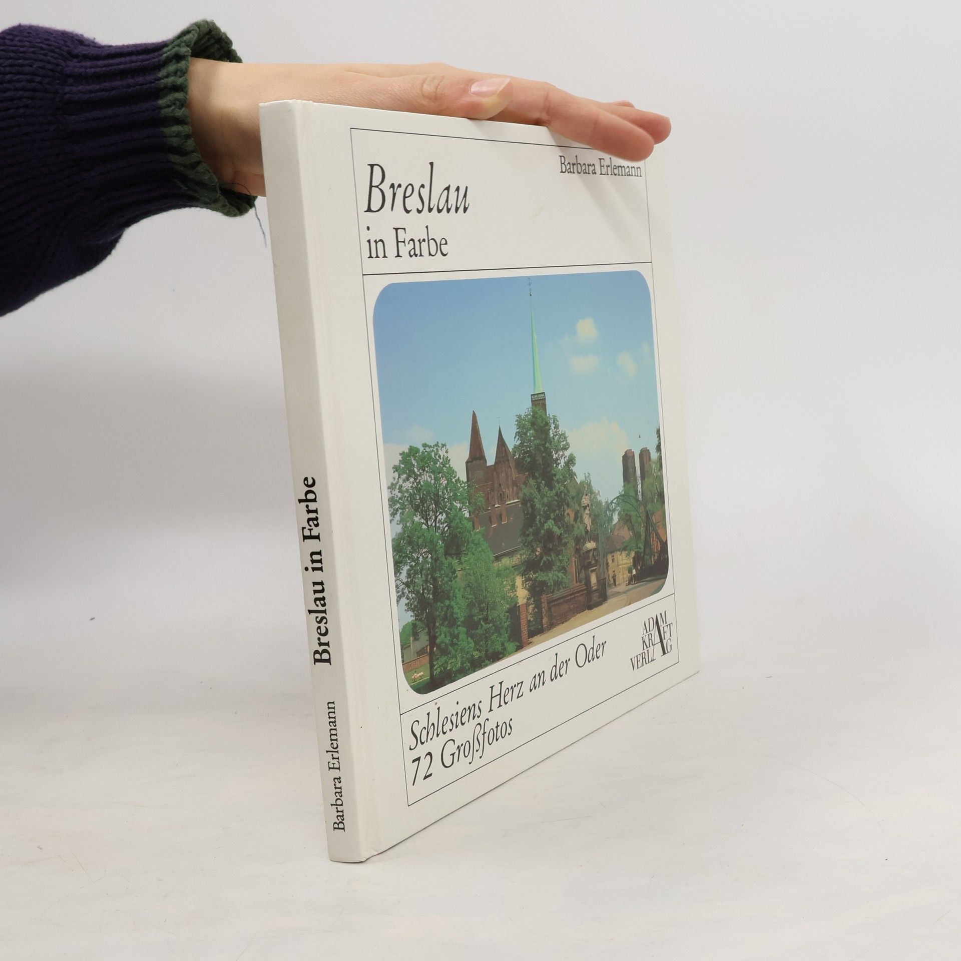 Barbara Erlemann Breslau in Farbe