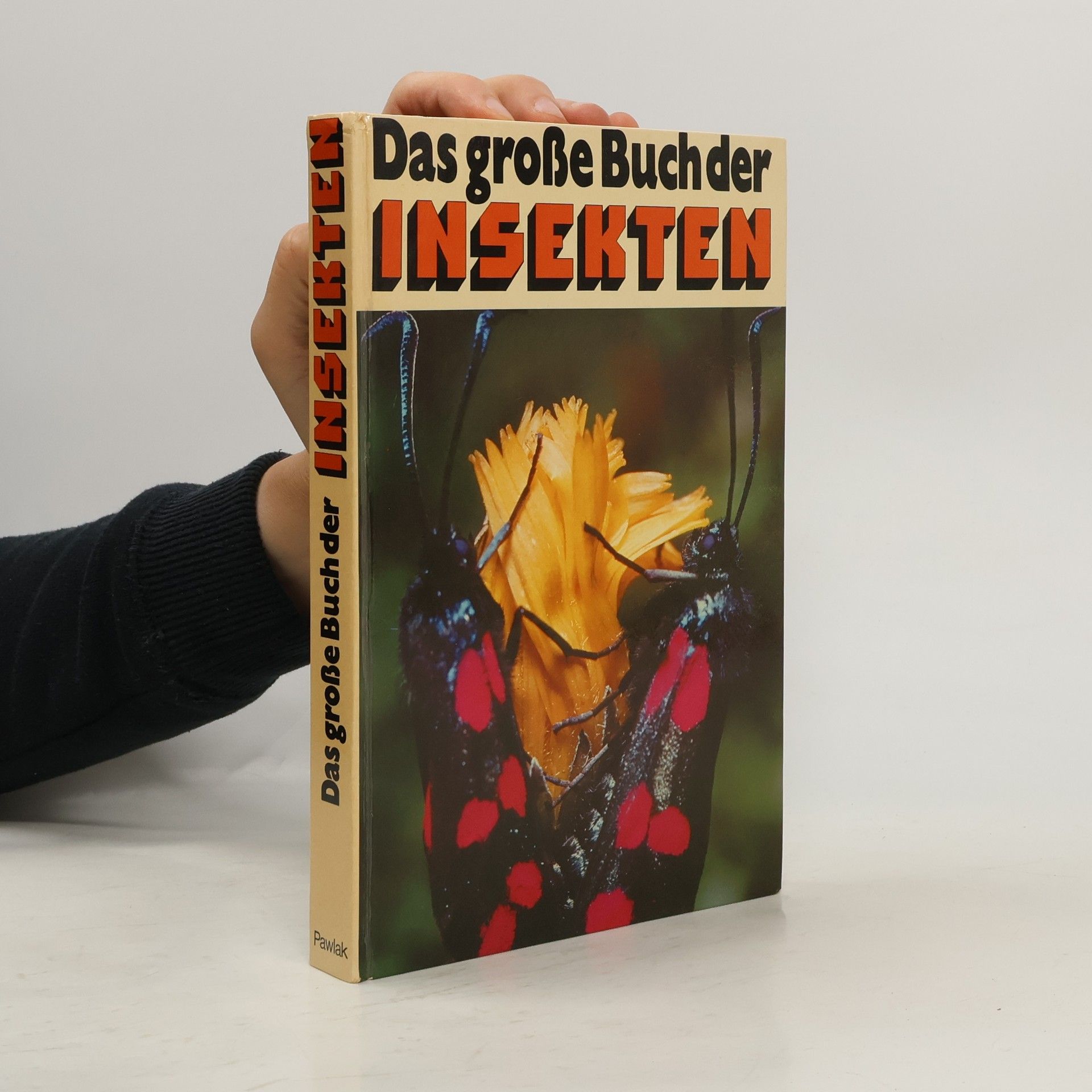 Autores varios Das große Buch der Insekten