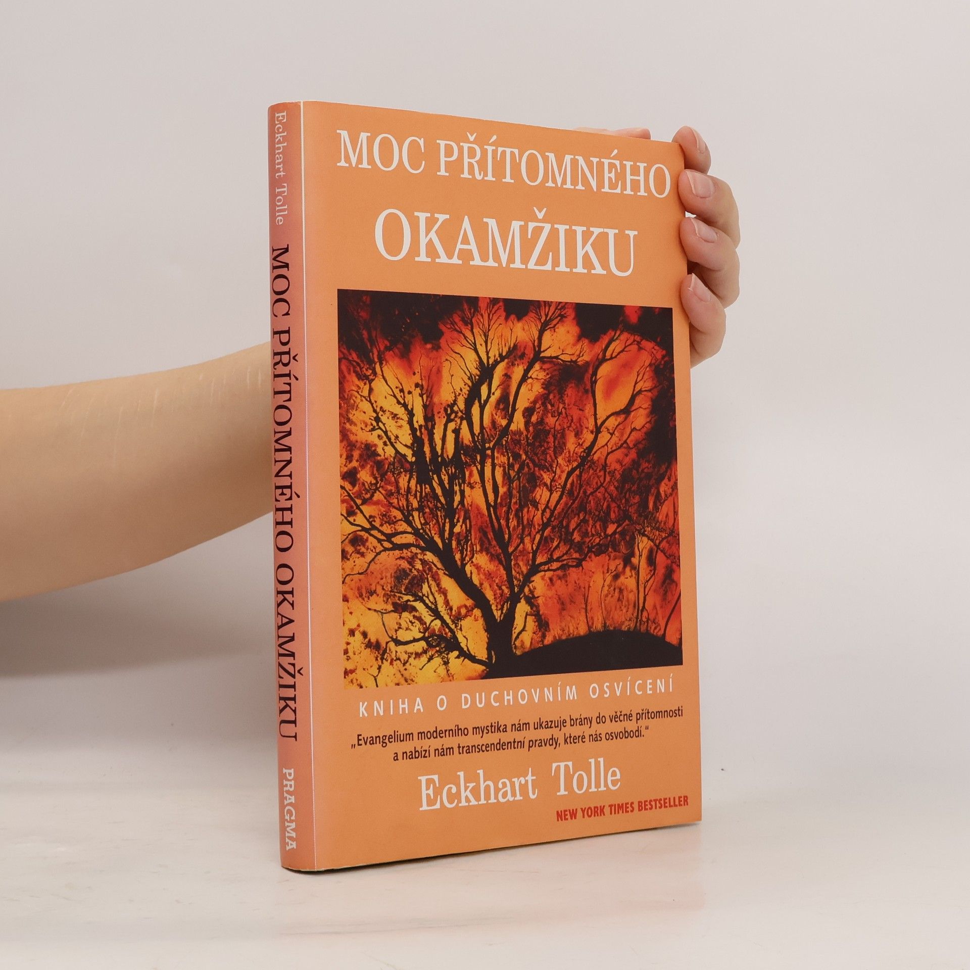 Eckhart Tolle Moc přítomného okamžiku