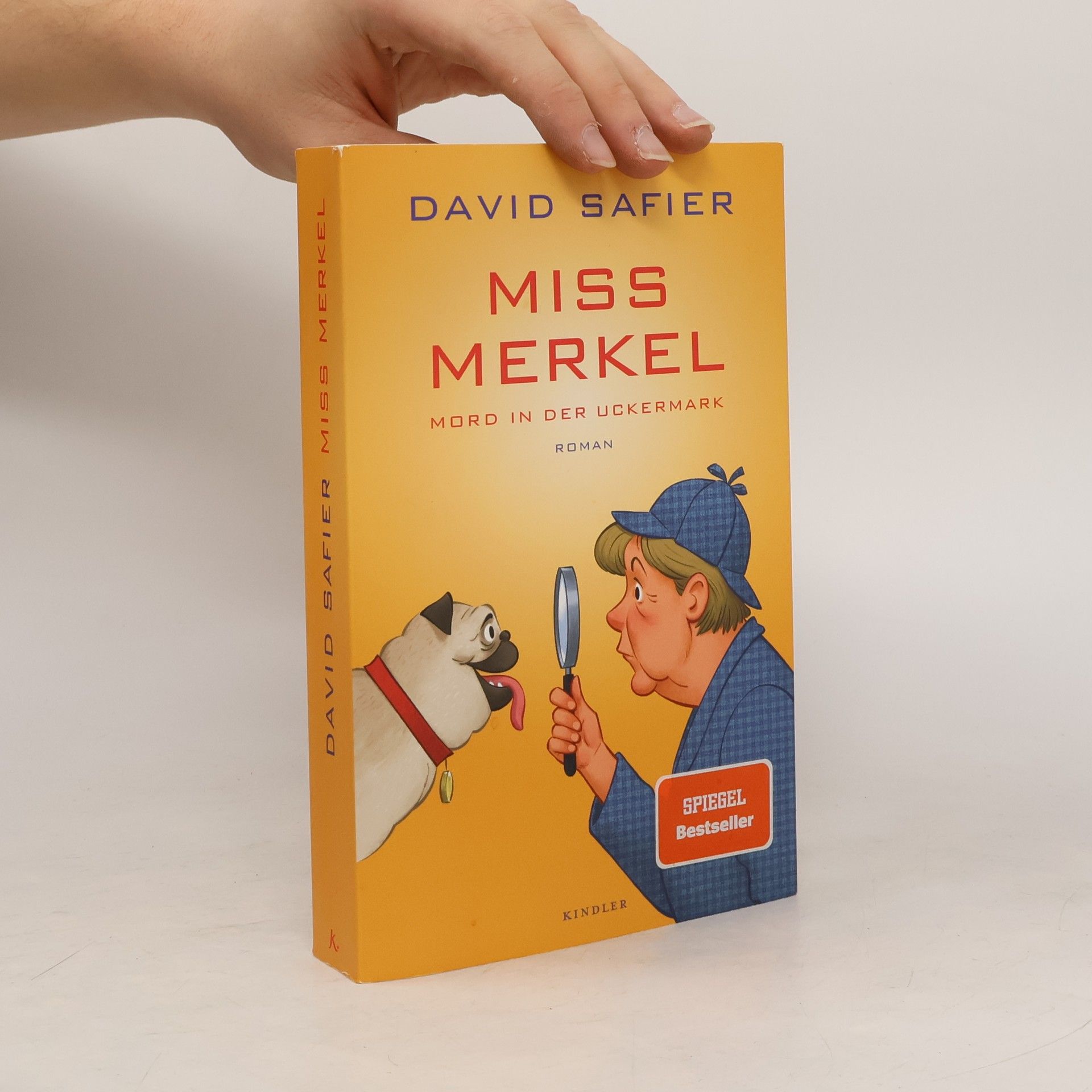 David Safier Miss Merkel