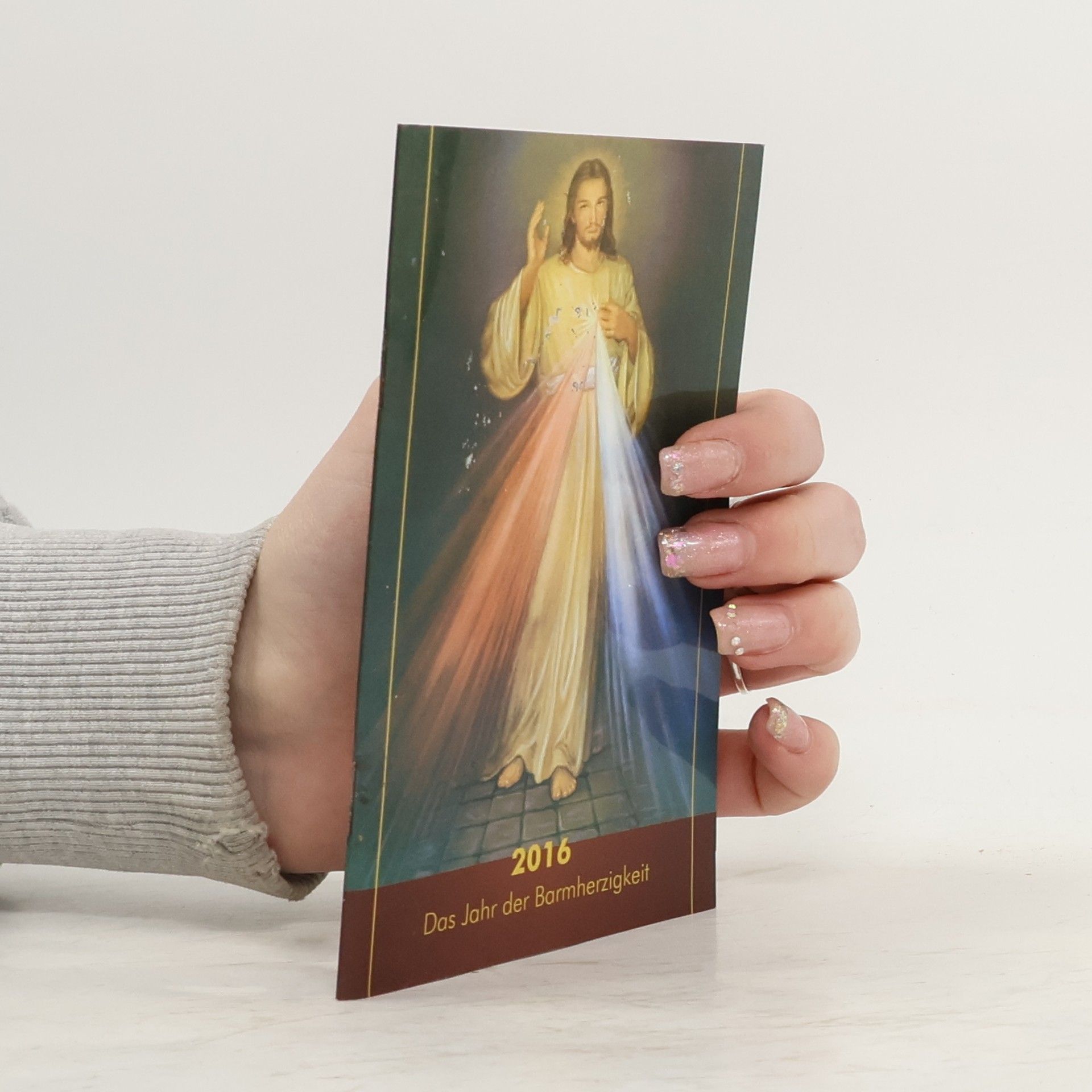 Kolektiv autorů Das Jahr der Barmherzigkeit 2016