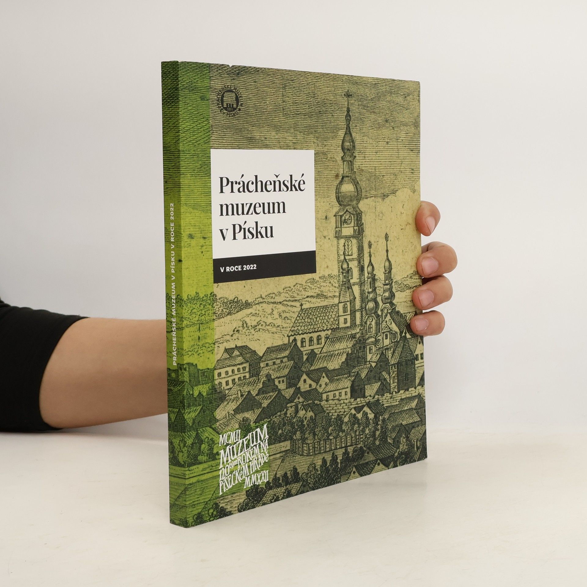 Kolektiv autorů Prácheňské muzeum v Písku