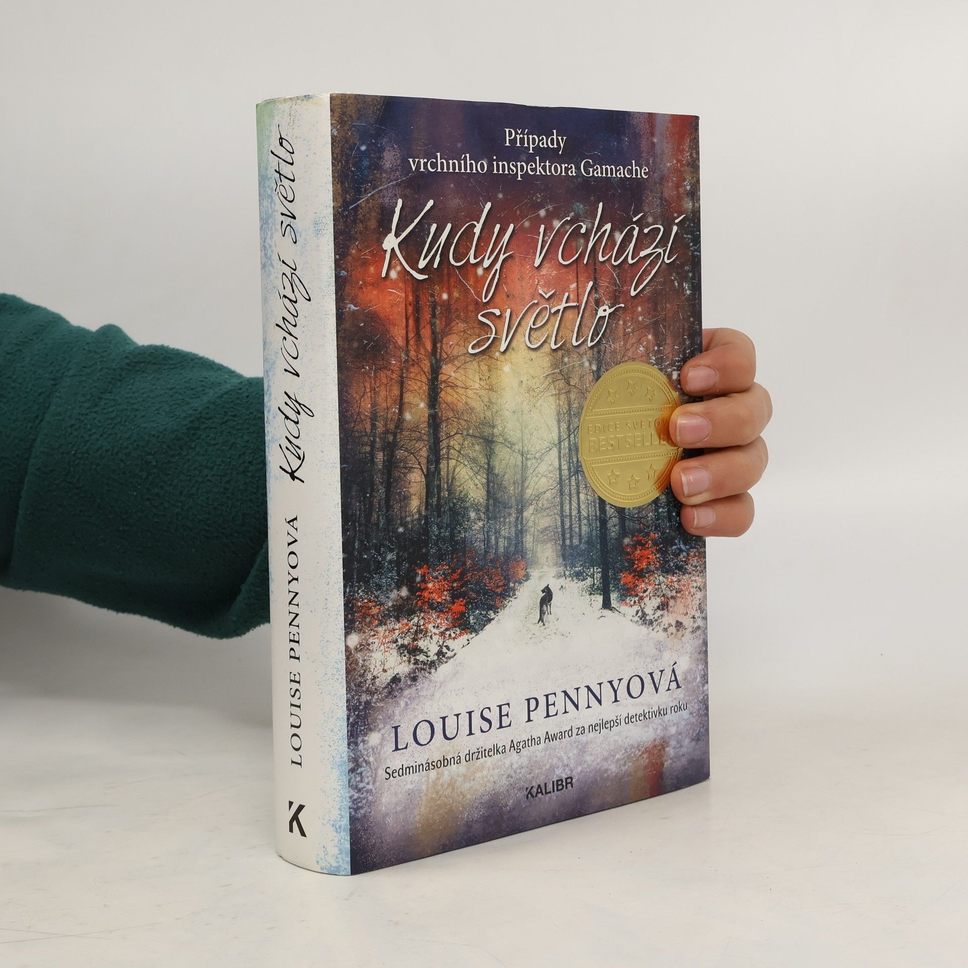 Louise Penny Kudy vchází světlo