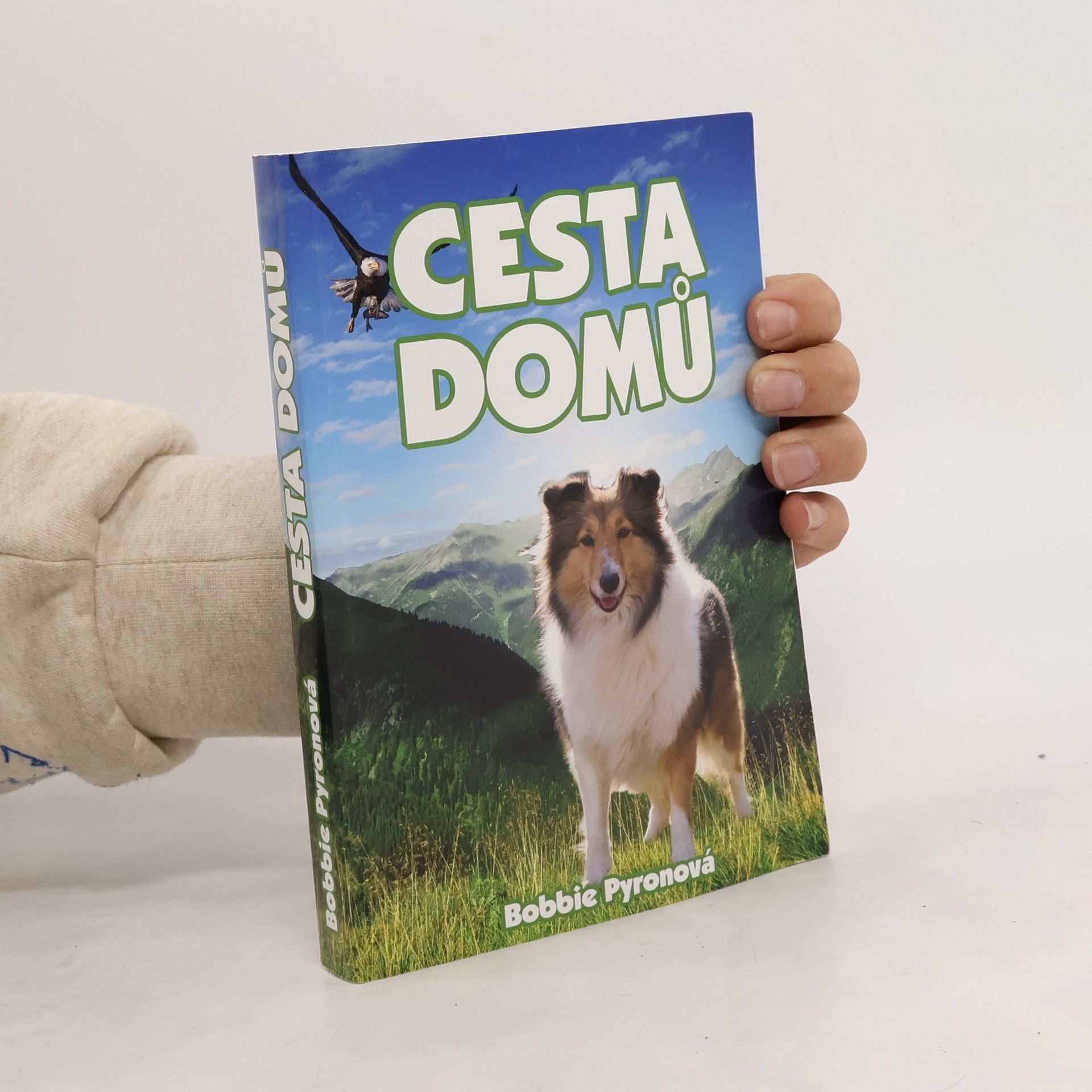 Bobbie Pyron Cesta domů