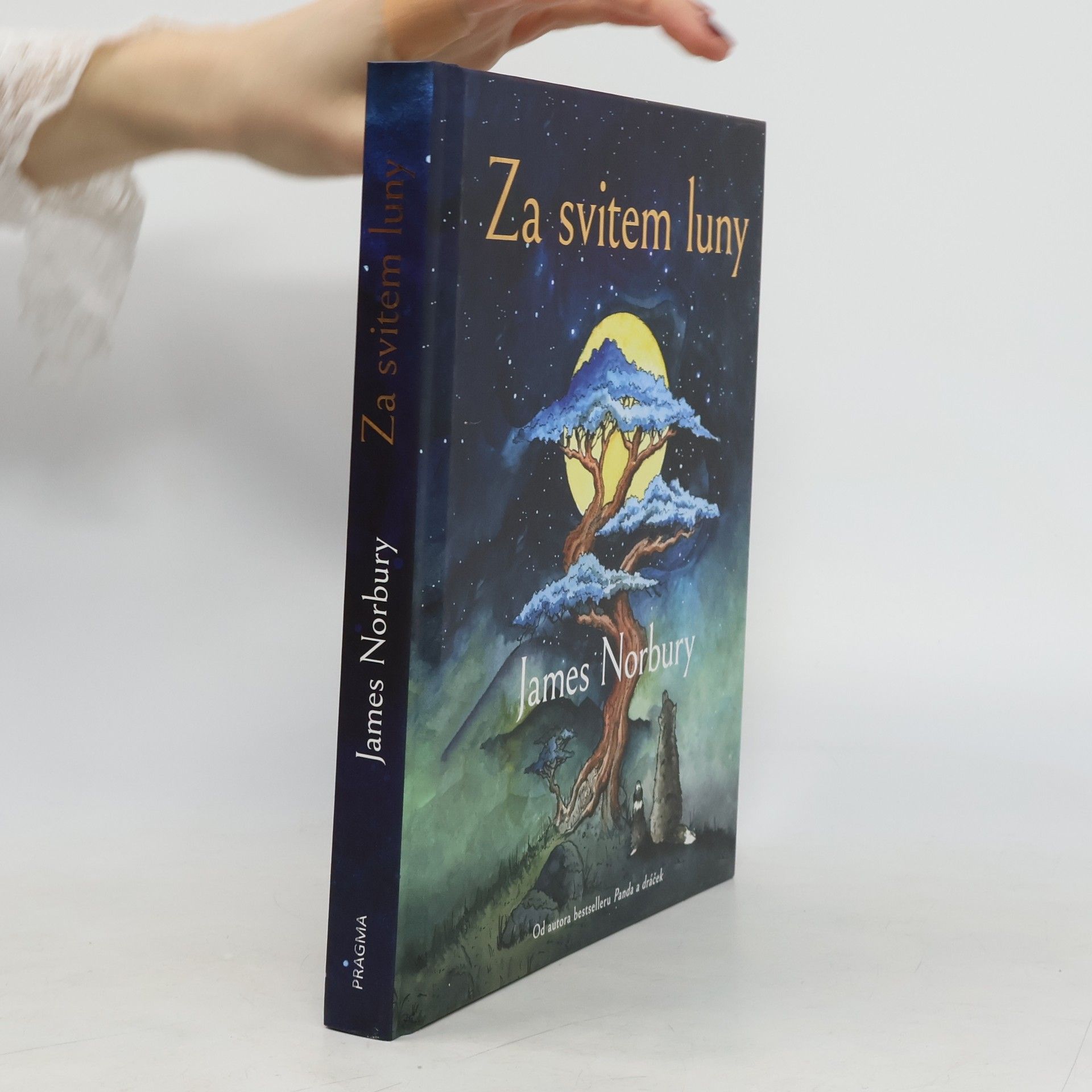 James Norbury Za svitem luny