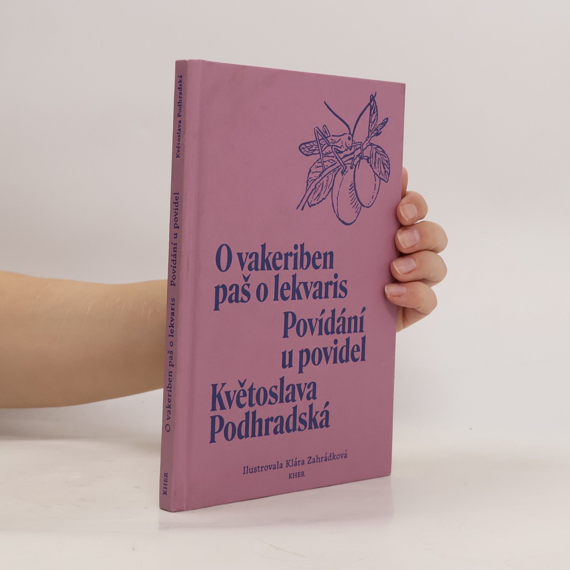 O vakeriben paš o lekvaris: Povídání u povidel (romsky)