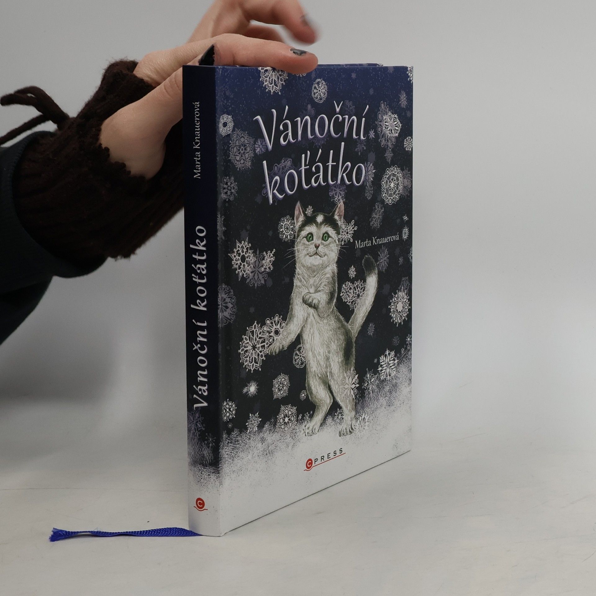 Marta Knauerová Vánoční koťátko