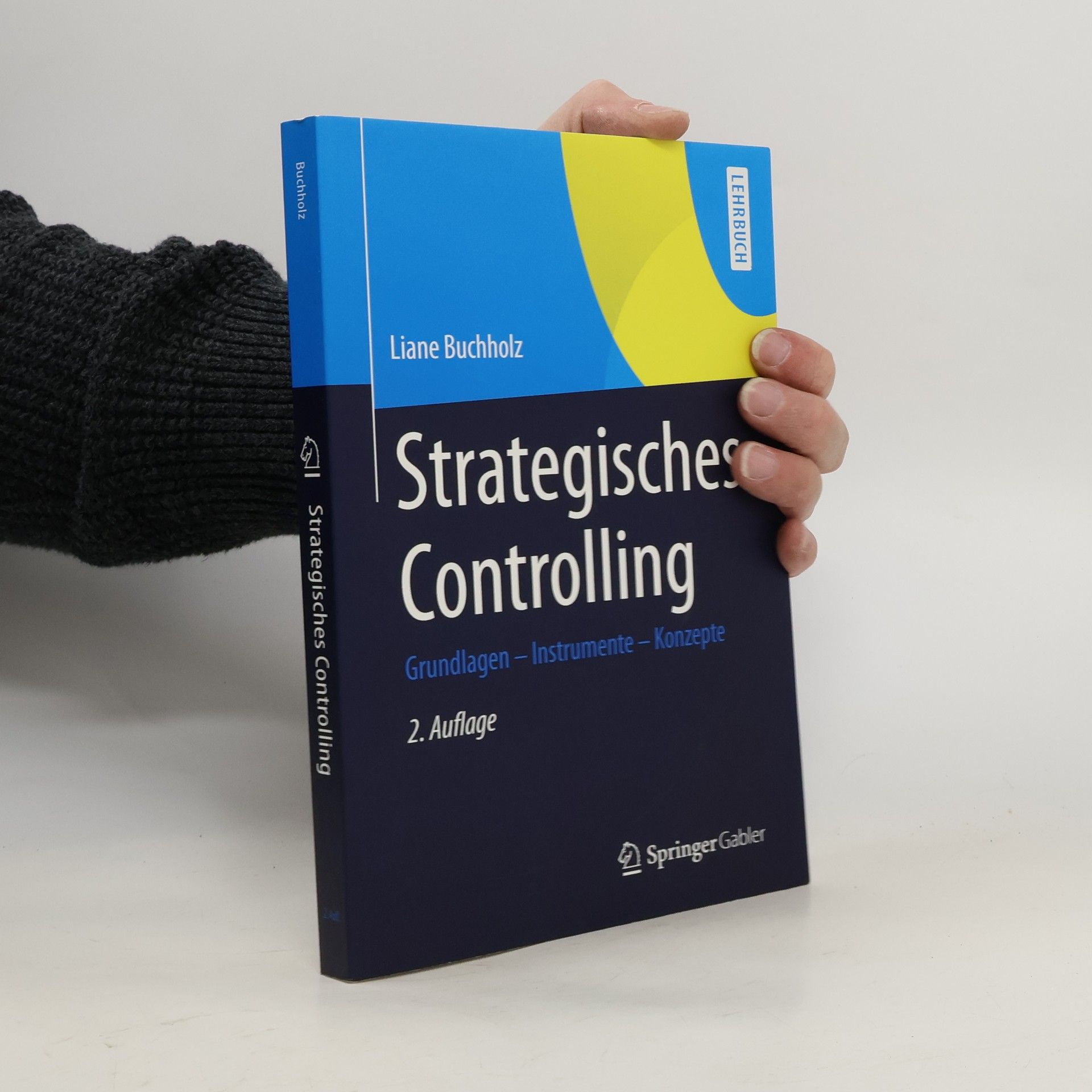 Liane Buchholz Strategisches Controlling