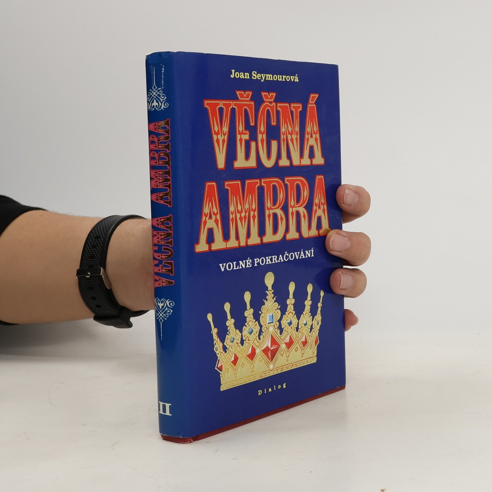 Petr Novotný Věčná Ambra : volné pokračování