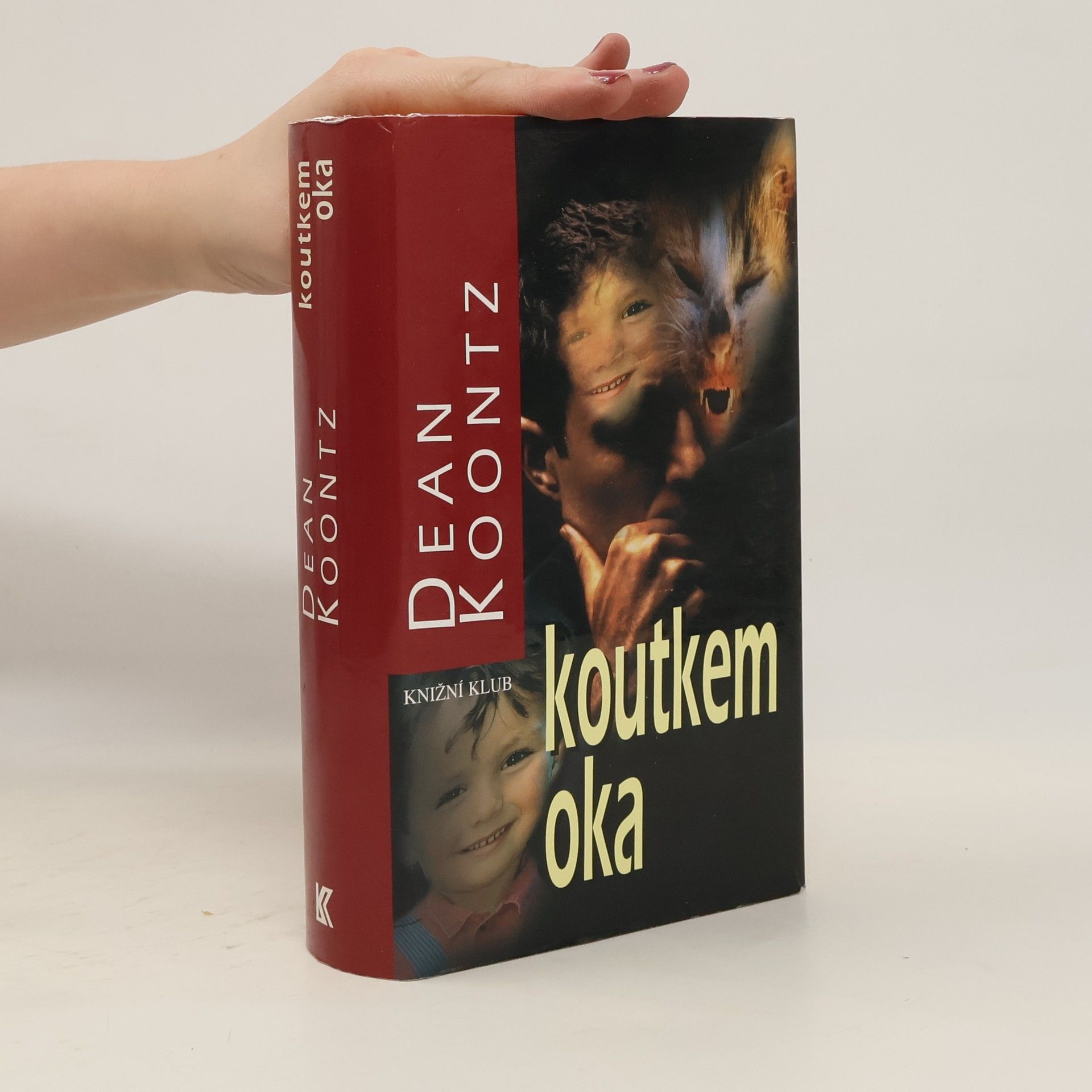 Dean R. Koontz Koutkem oka