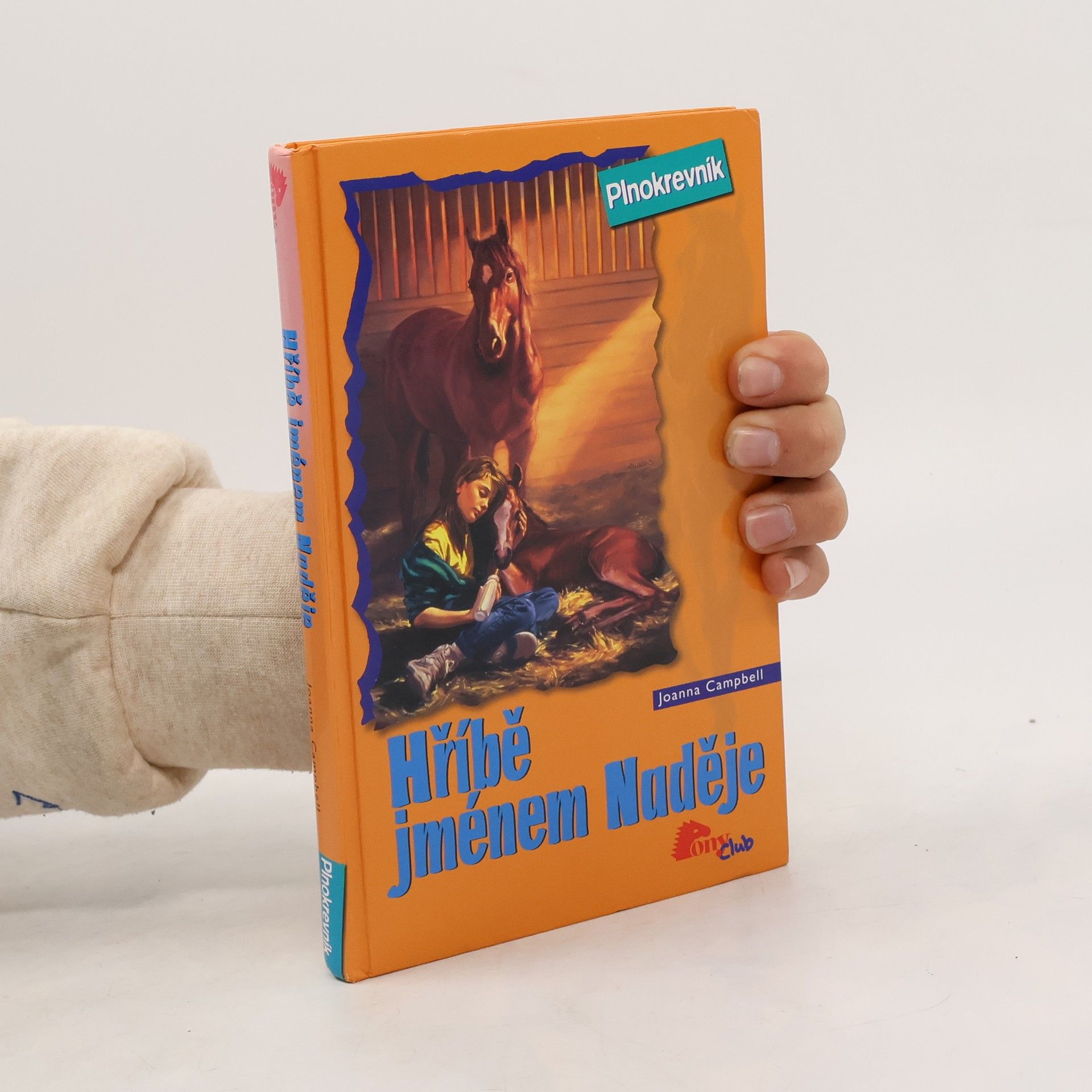 Joanna Campbell Hříbě jménem Naděje