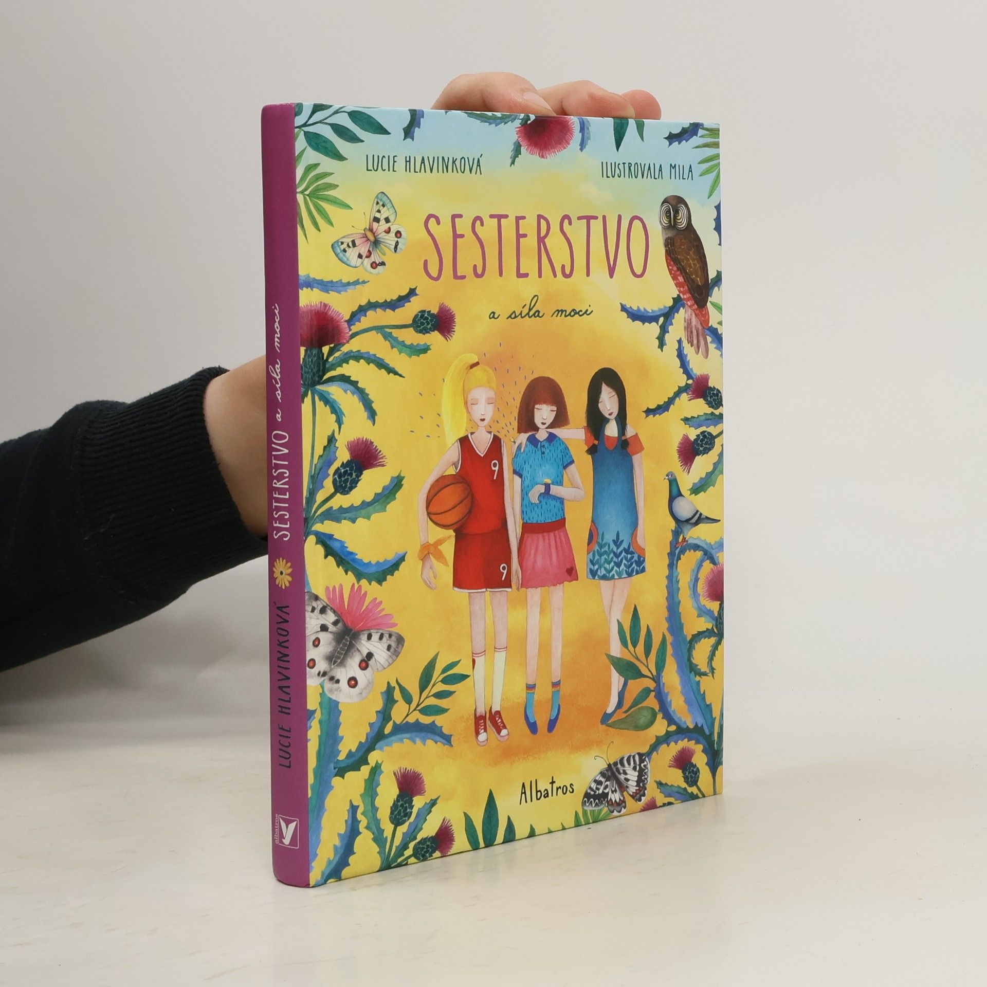 Lucie Hlavinková Sesterstvo a síla moci