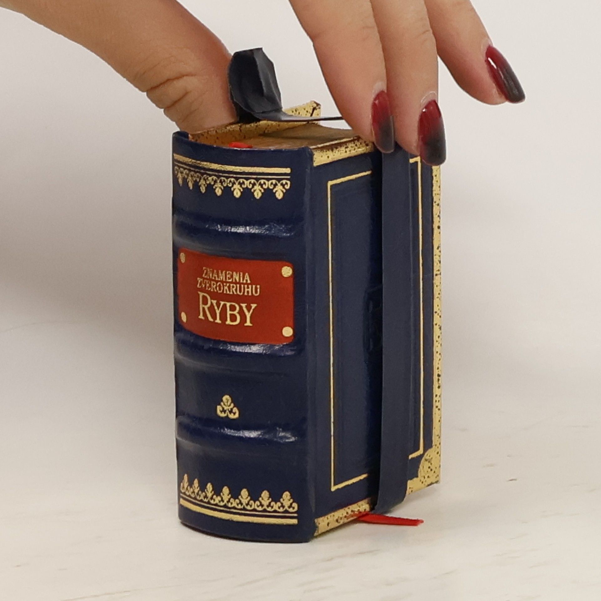 Autorenkollektiv Znamenia zverokruhu: Ryby