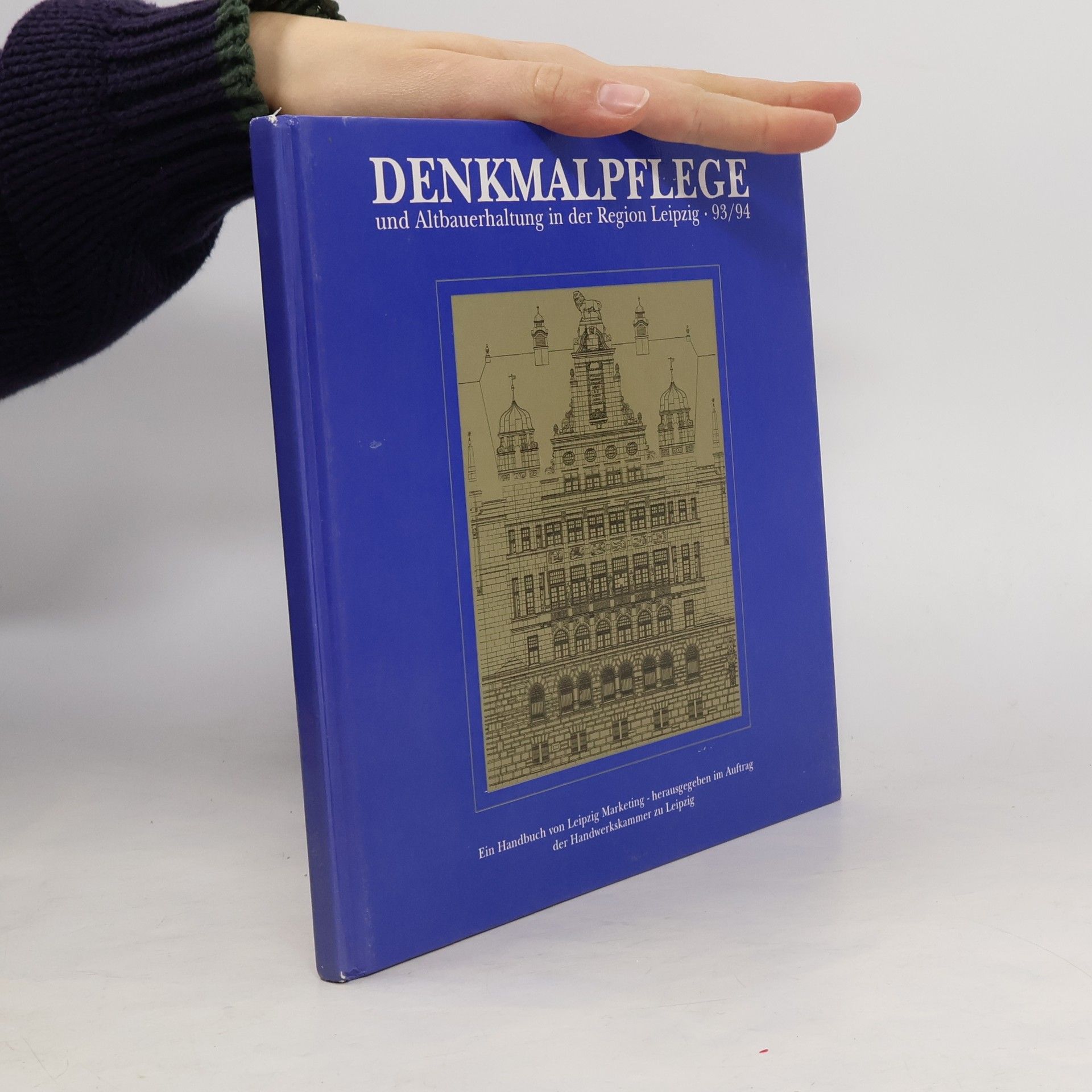 Collectif d'auteurs Denkmalpflege und Altbauerhaltung in der Region Leipzig 93-94
