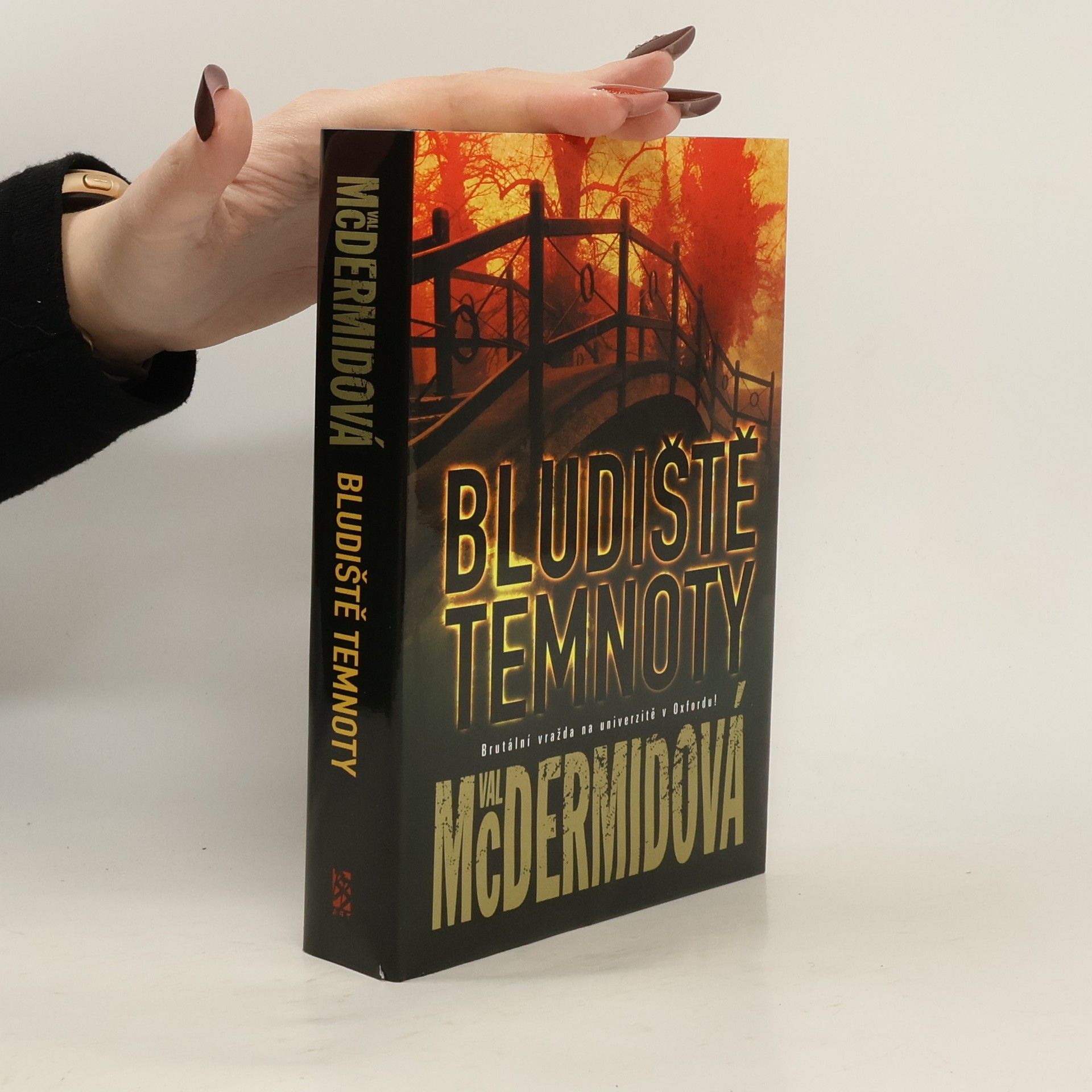 Val McDermid Bludiště temnoty