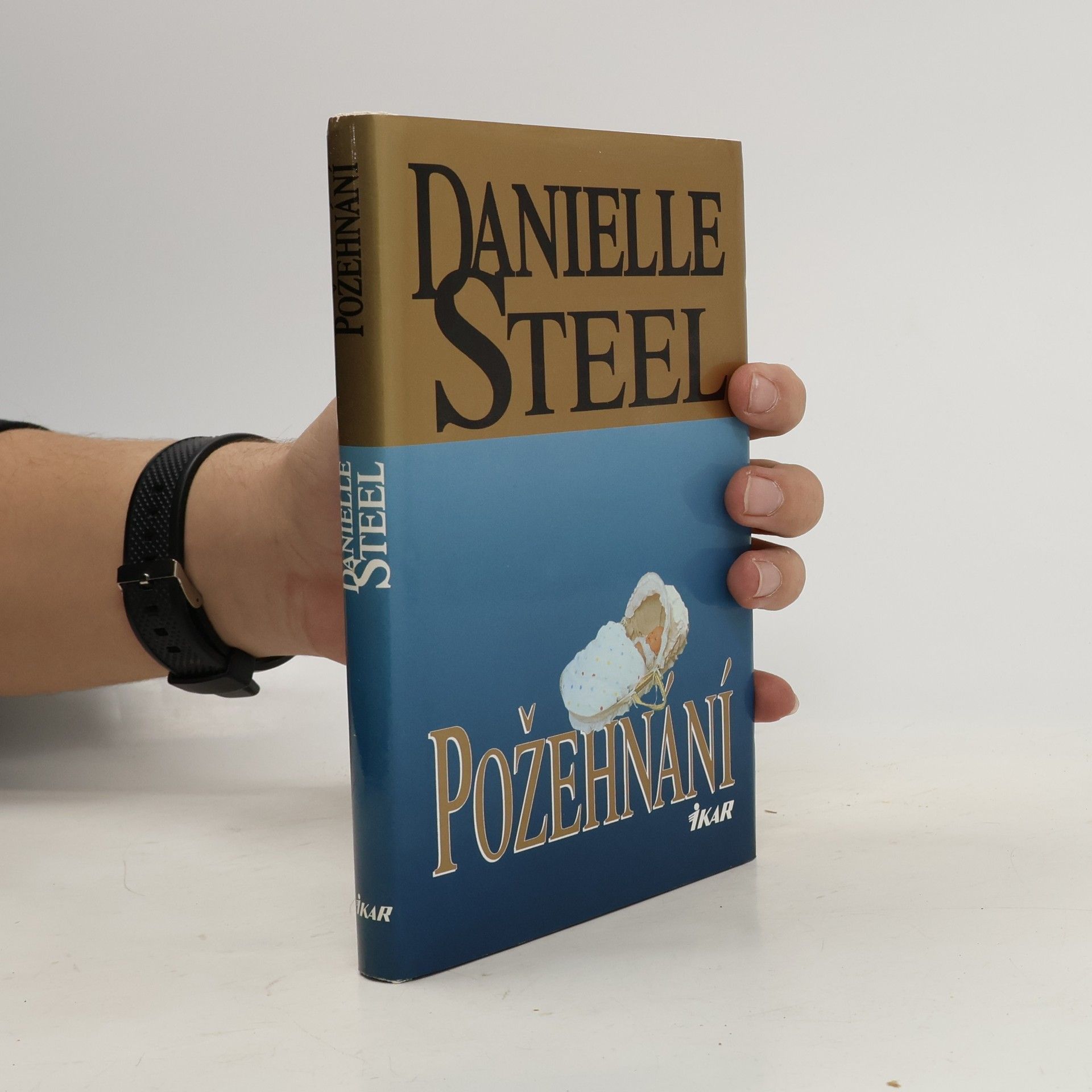 Danielle Steel Požehnání