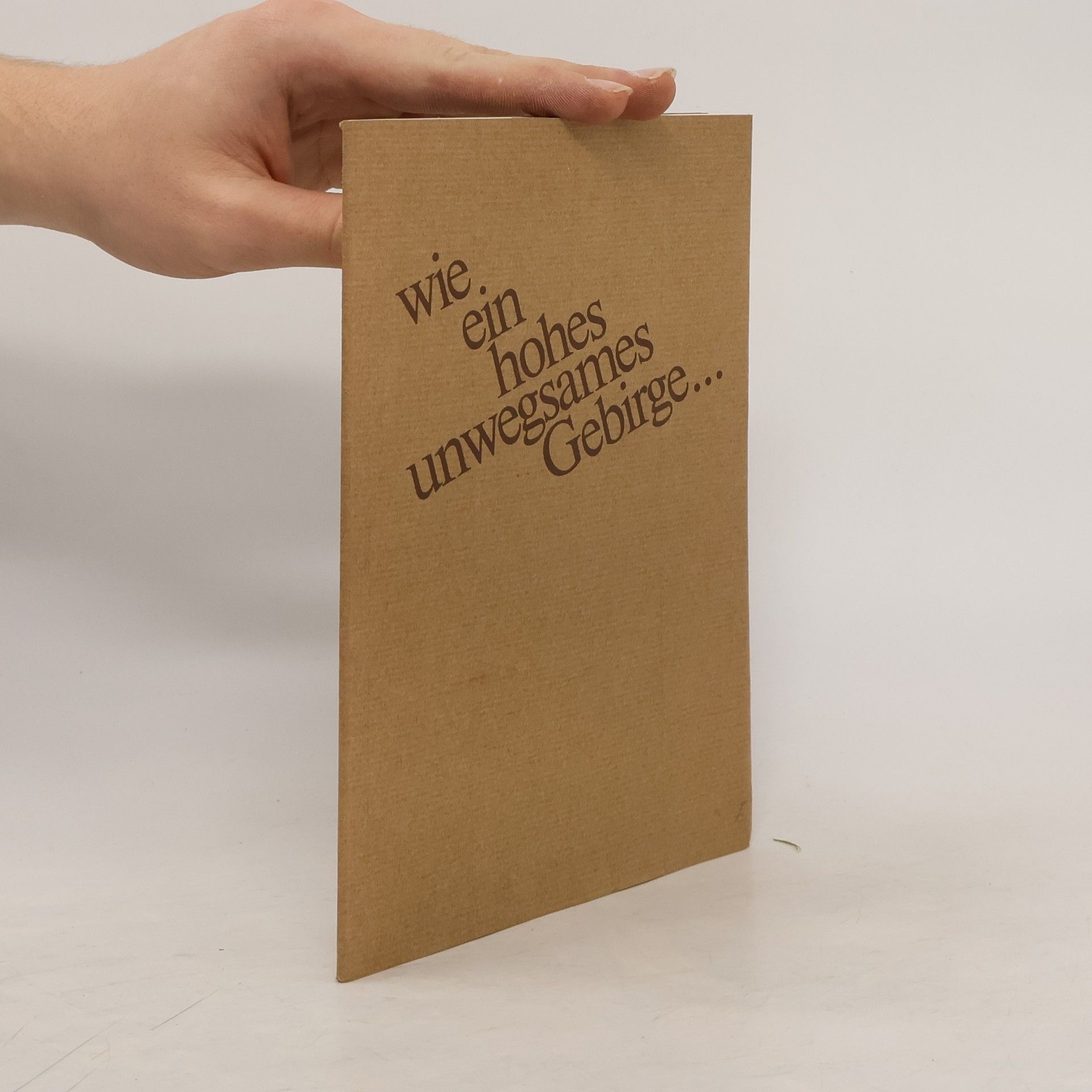 Autorenkollektiv Wie ein hohes unwegsames Gebirge