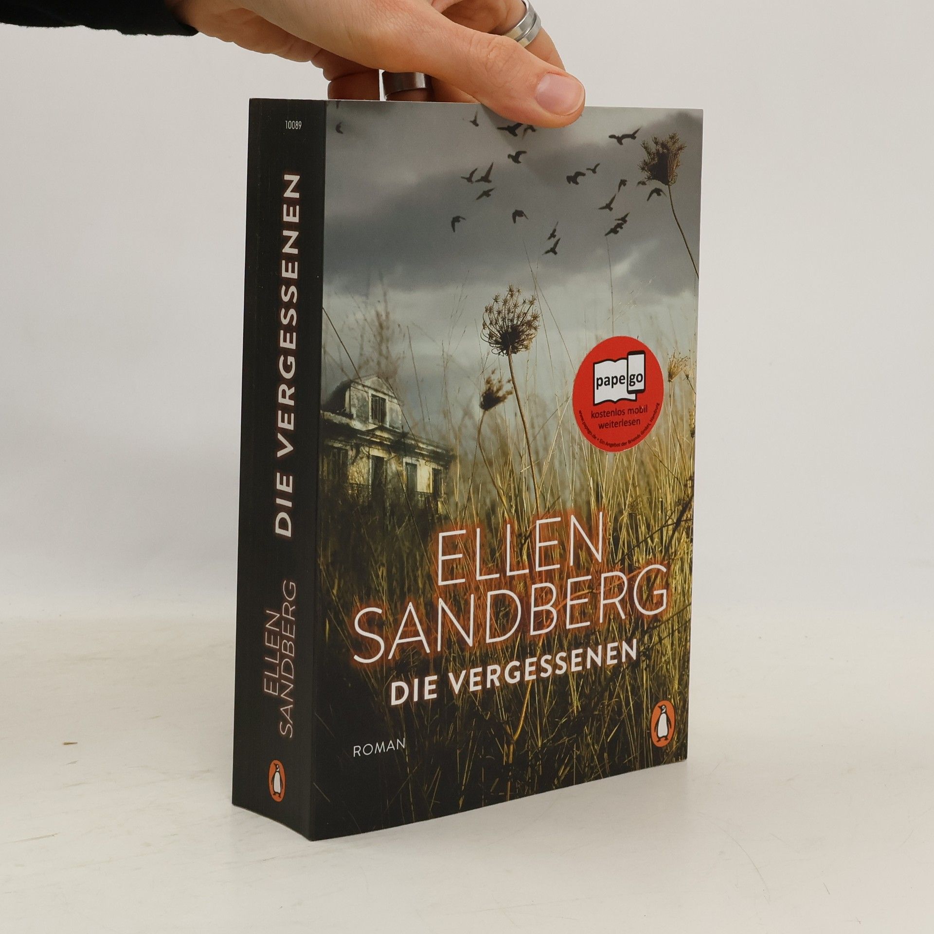 Ellen Sandberg Die Vergessenen