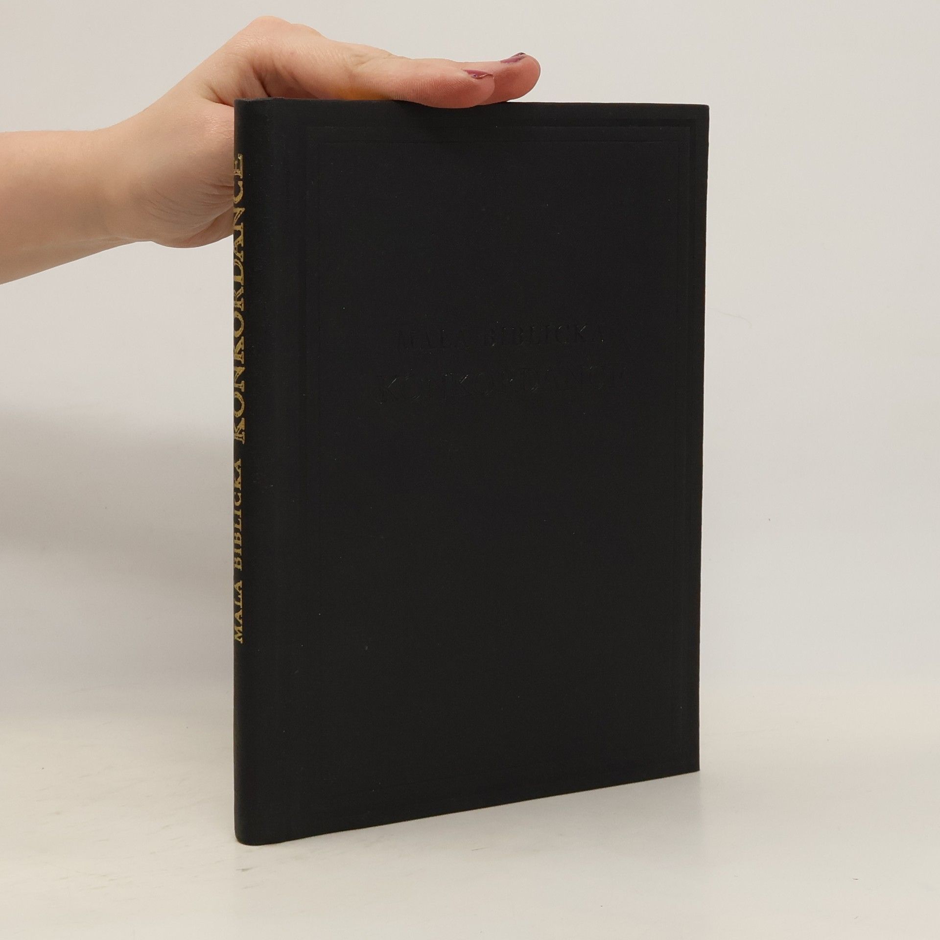 Josef Štifter Malá biblická konkordance