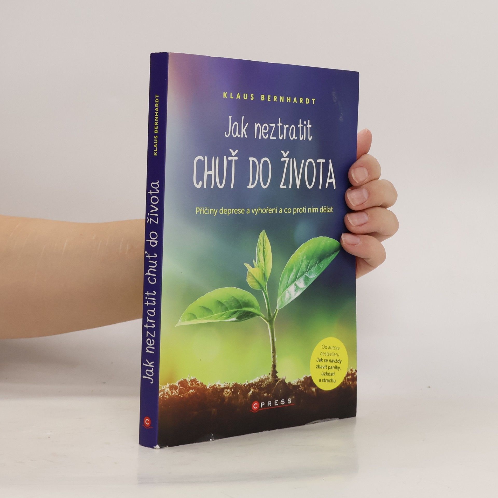 Klaus Bernhardt Jak neztratit chuť do života